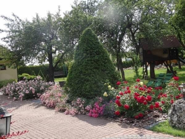 Photo 38