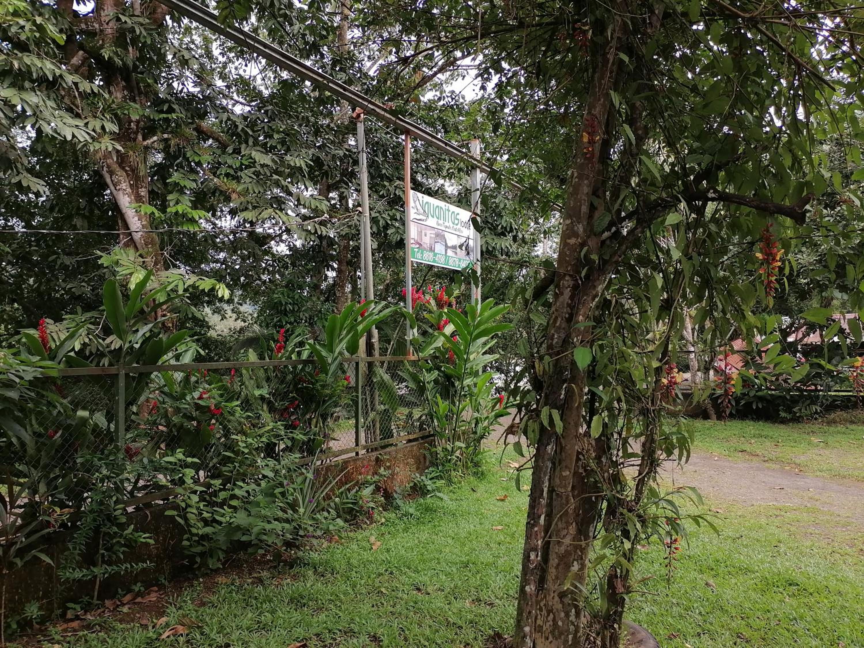 Iguanitas Lodge