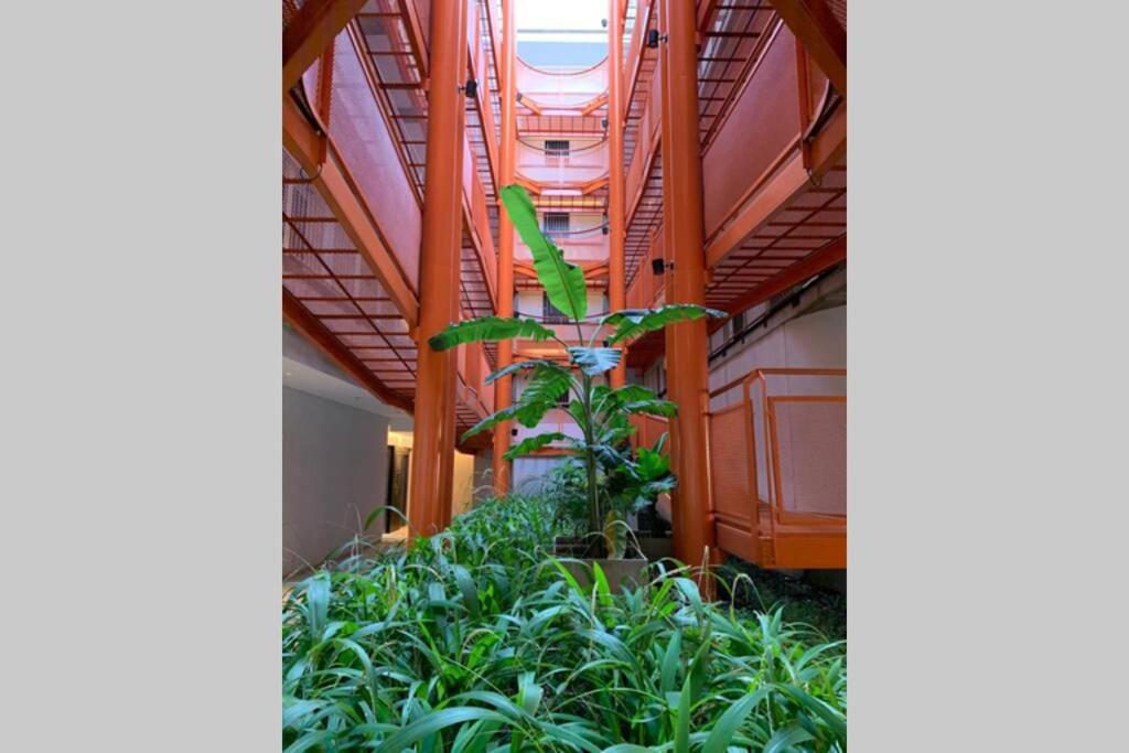 Amazing apartment with amenities