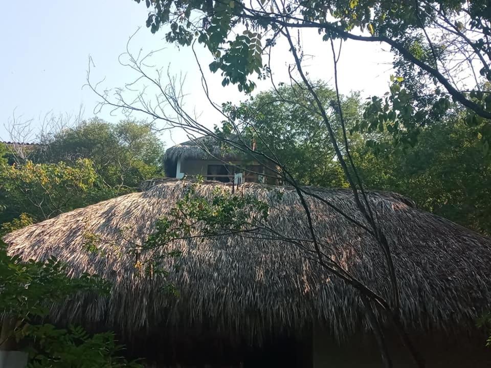 La Aldea Zipolite view 2
