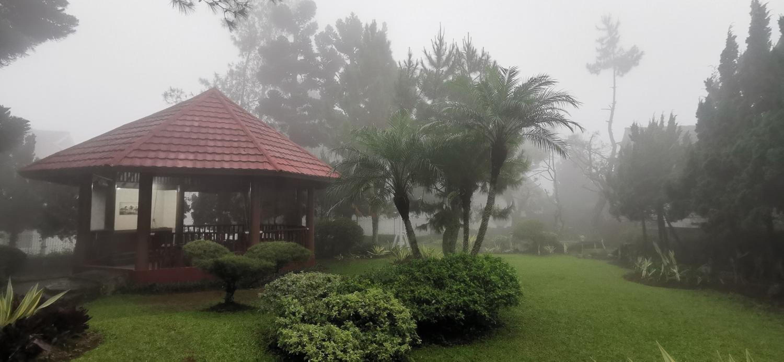 Villa Segar Alam Puncak view 2