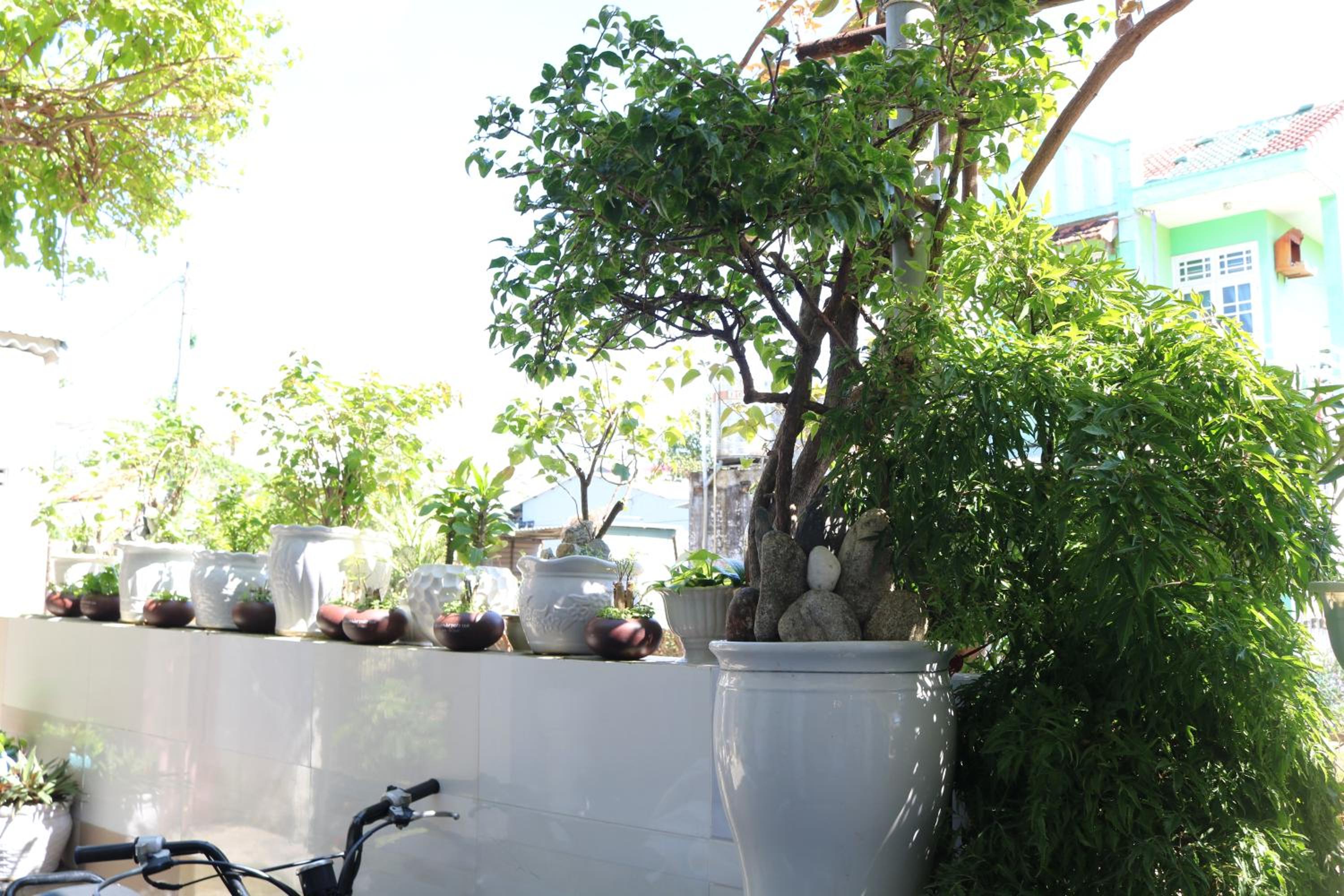 Photo 45