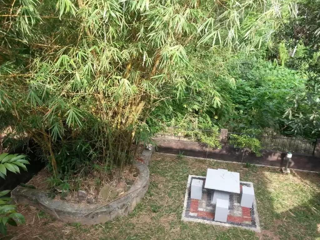 Photo 16