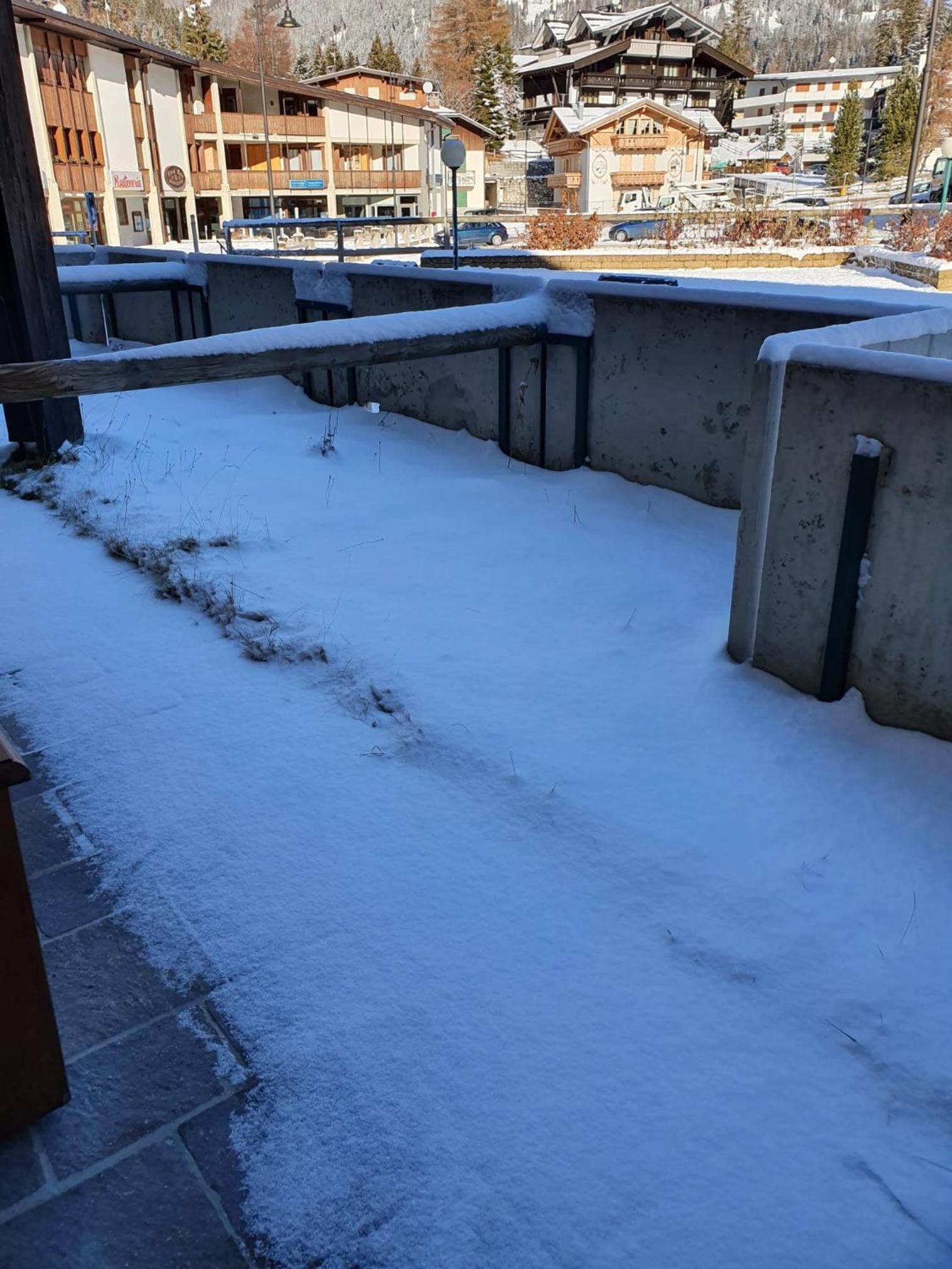 Casa degli orsi - Madonna di Campiglio - Condominio Nardis view 5
