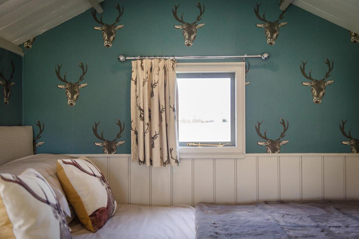 Stag view 3