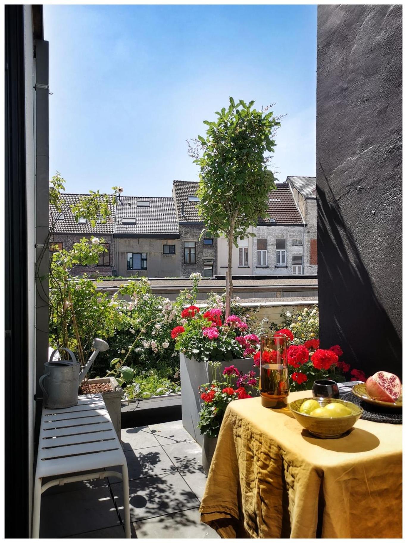 Studio Spiegelhof view 4