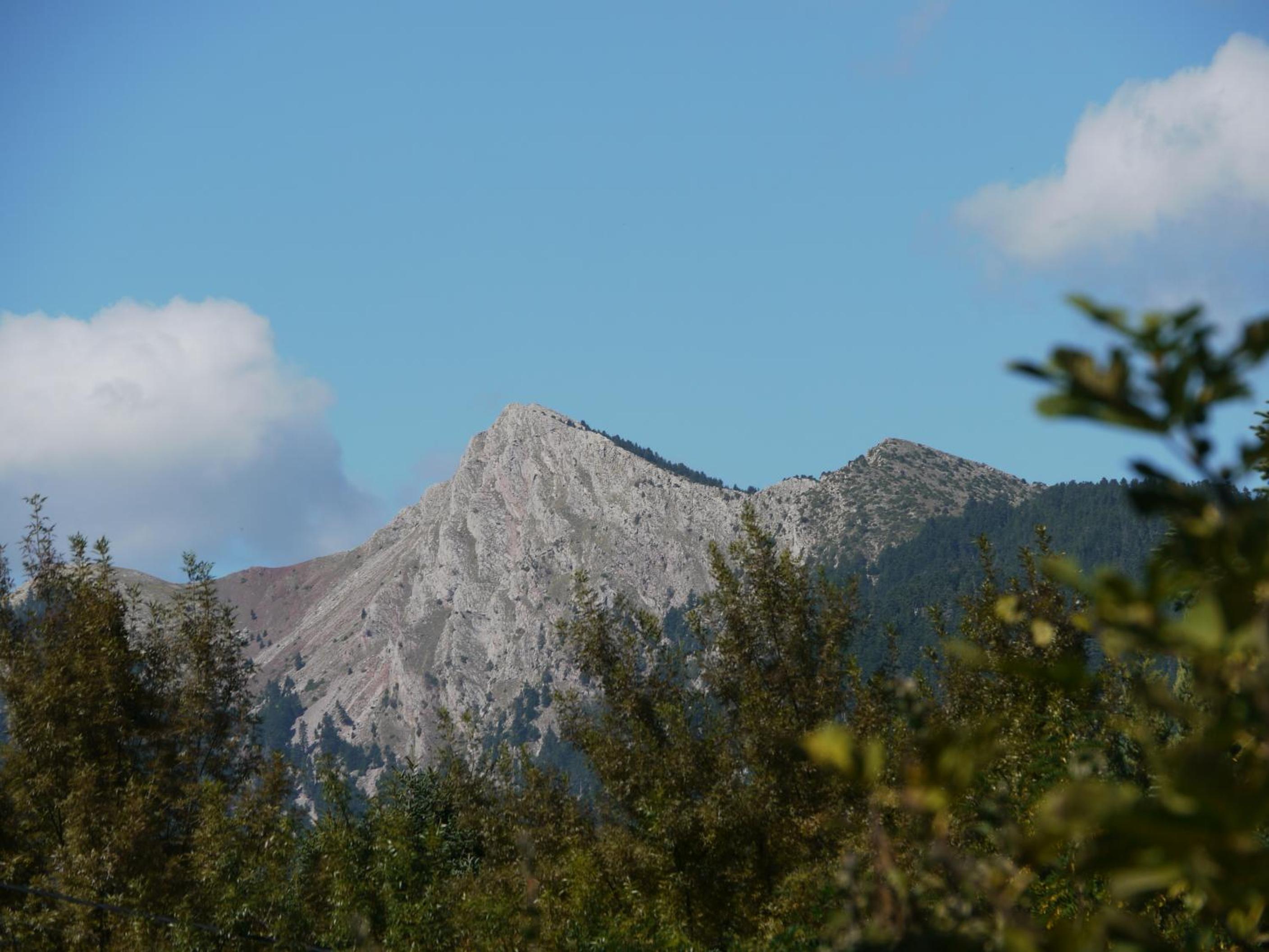 Photo 25