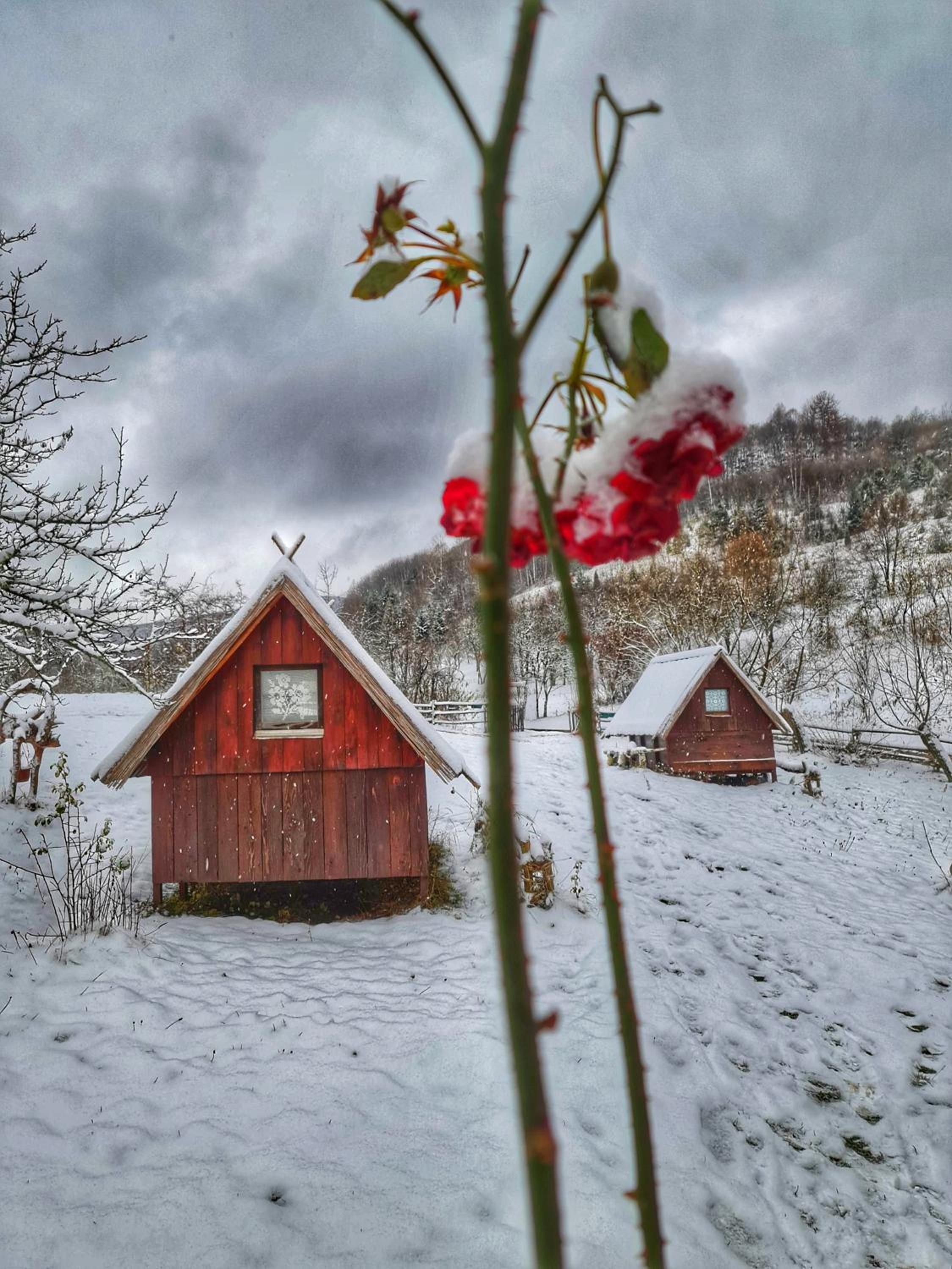 Log cabin Uvac (Vikendica Saponjic)