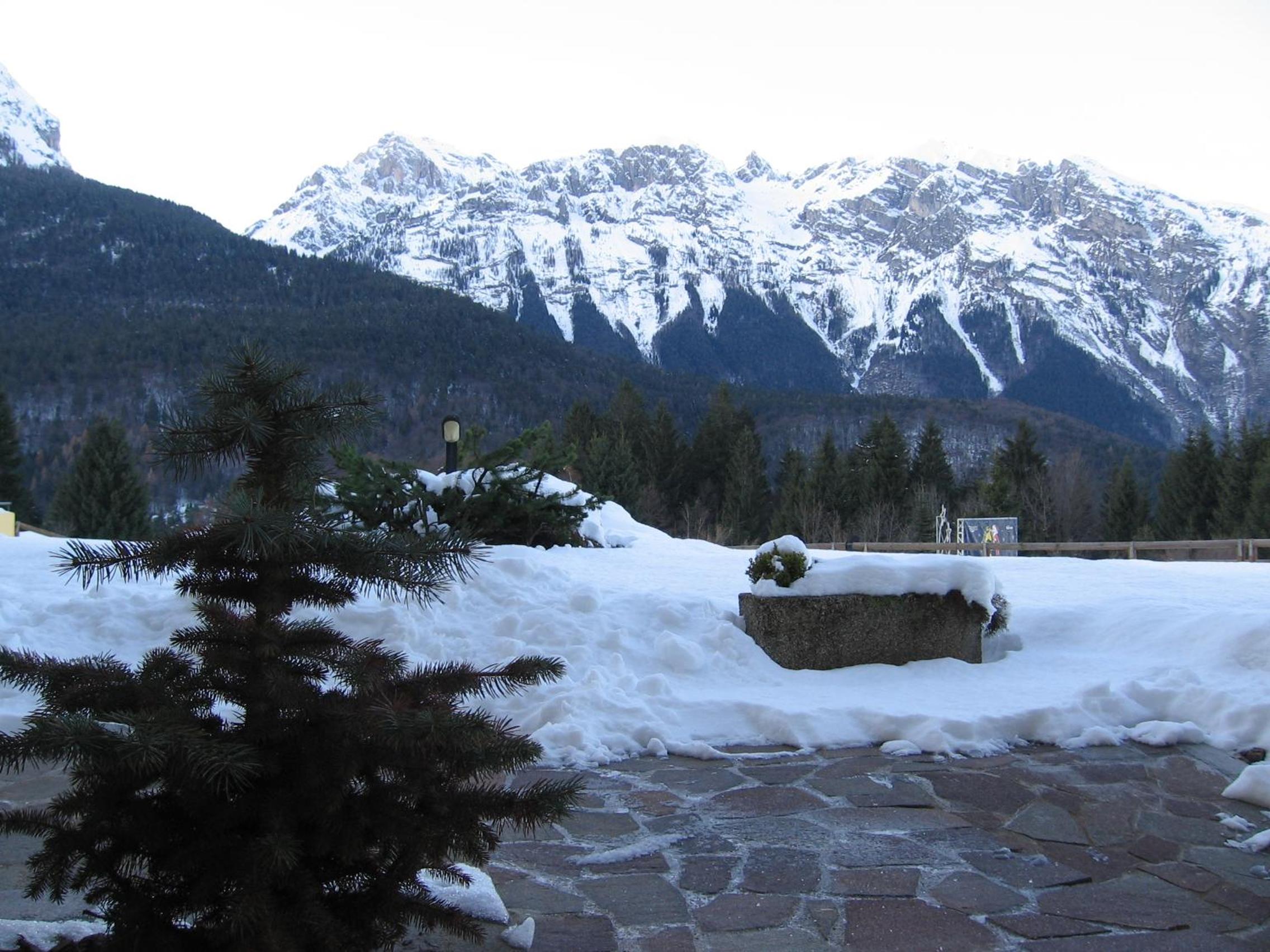 Photo 46