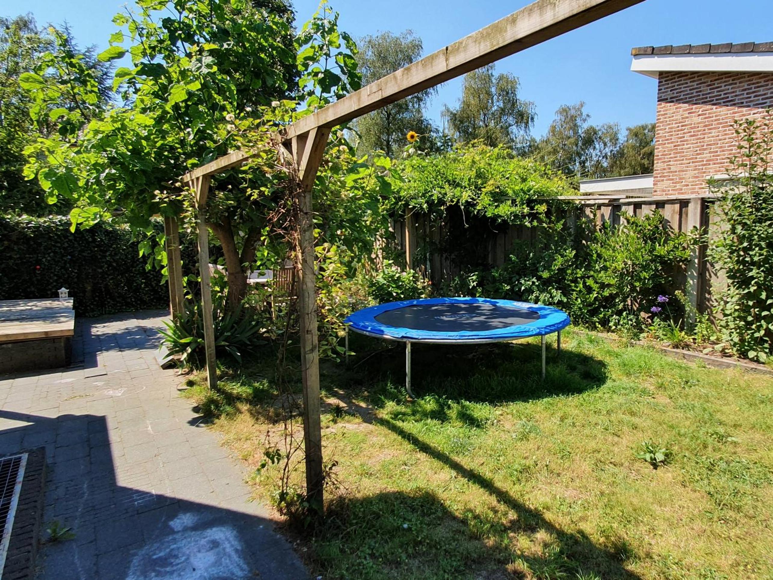 Photo 13