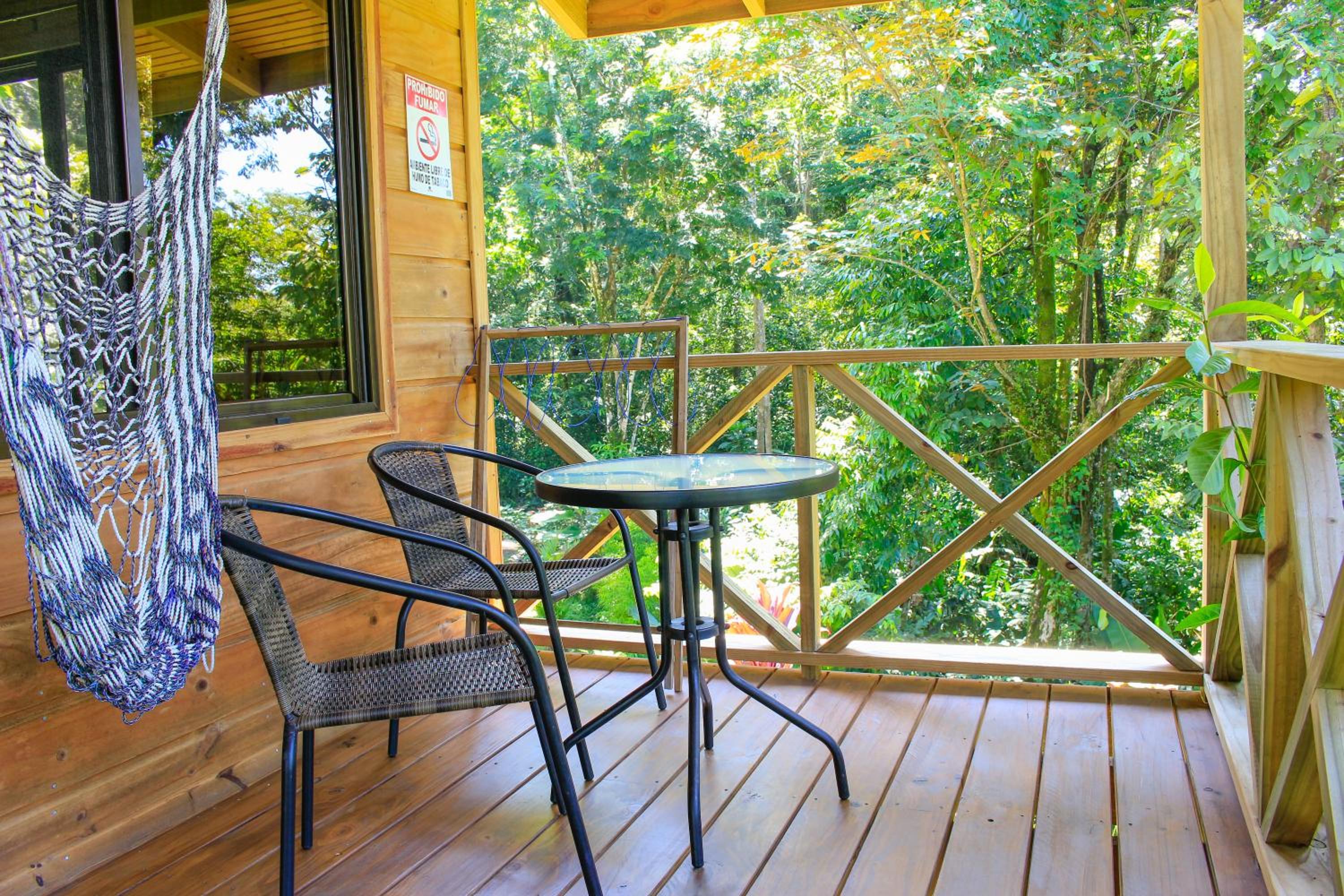 Forest Lodge view 4