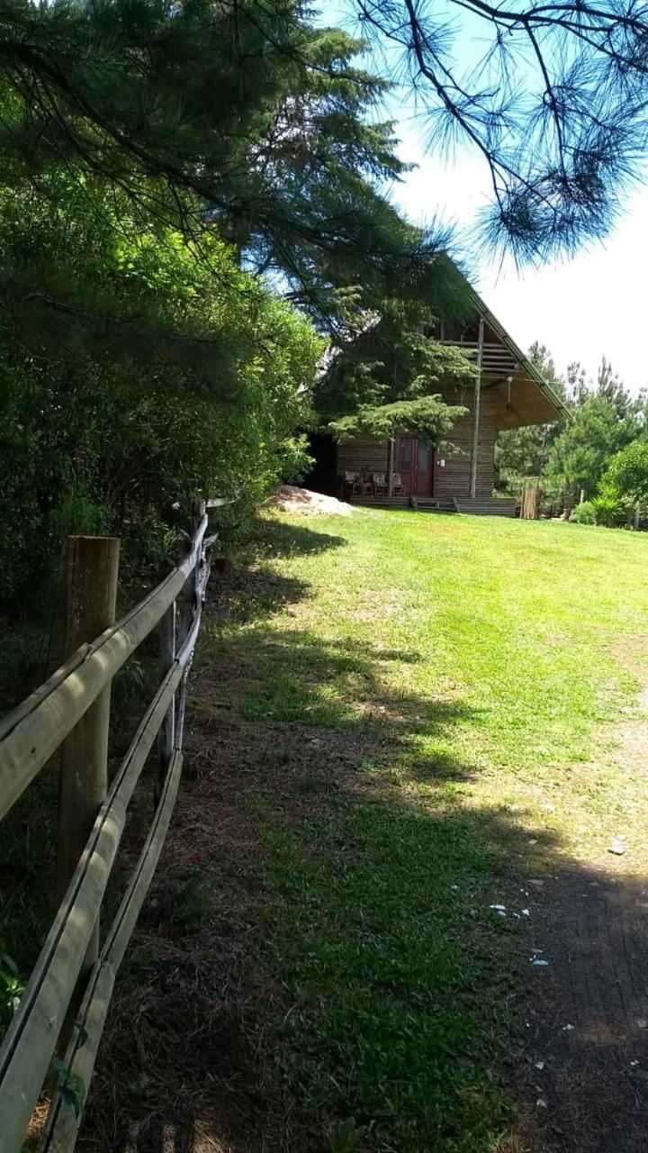 Photo 35