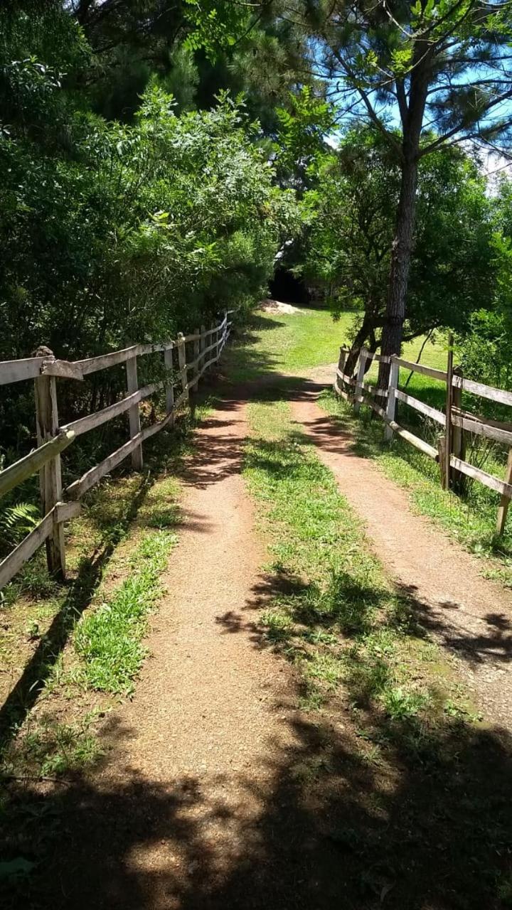 Photo 36
