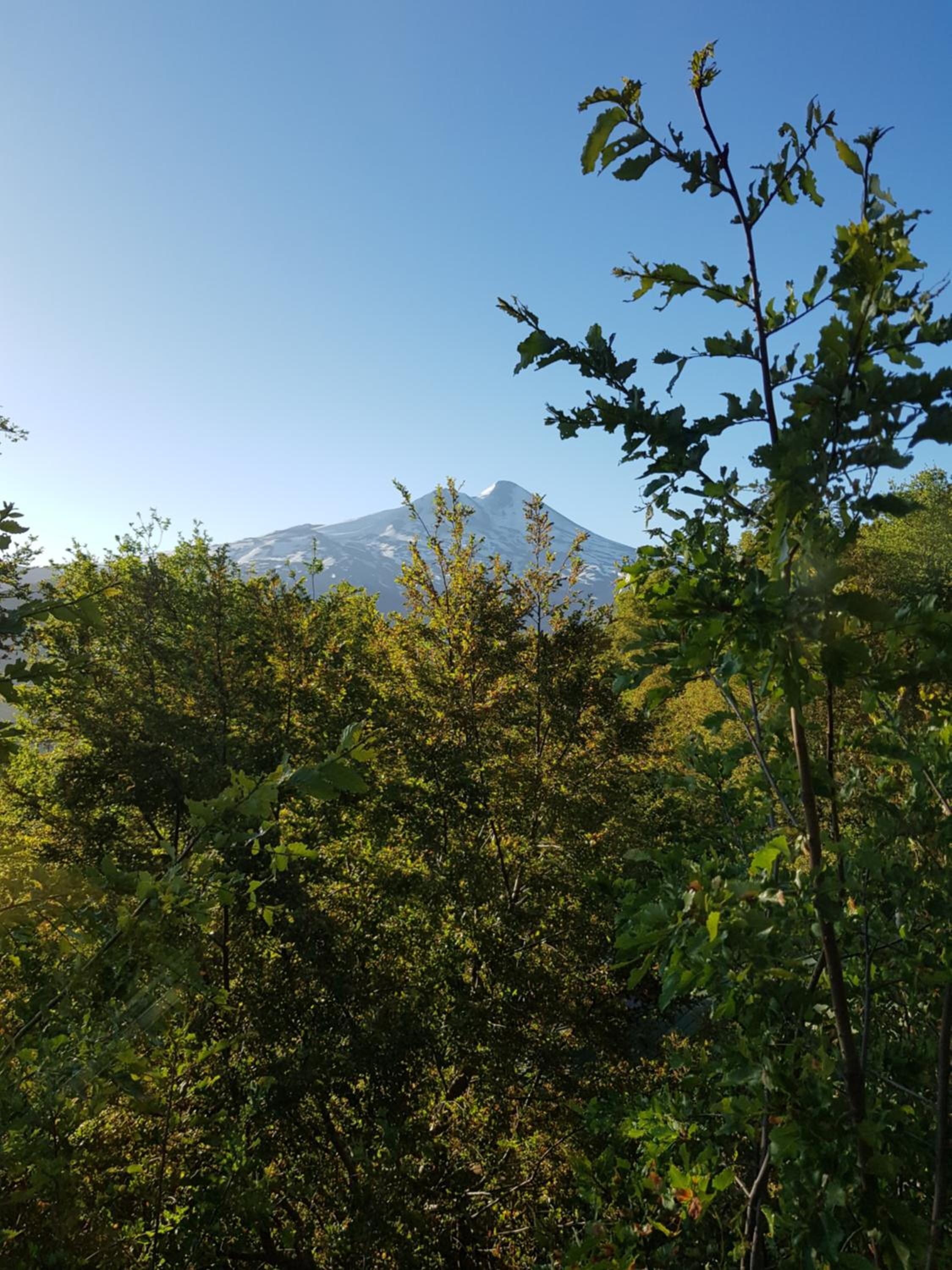 Photo 36