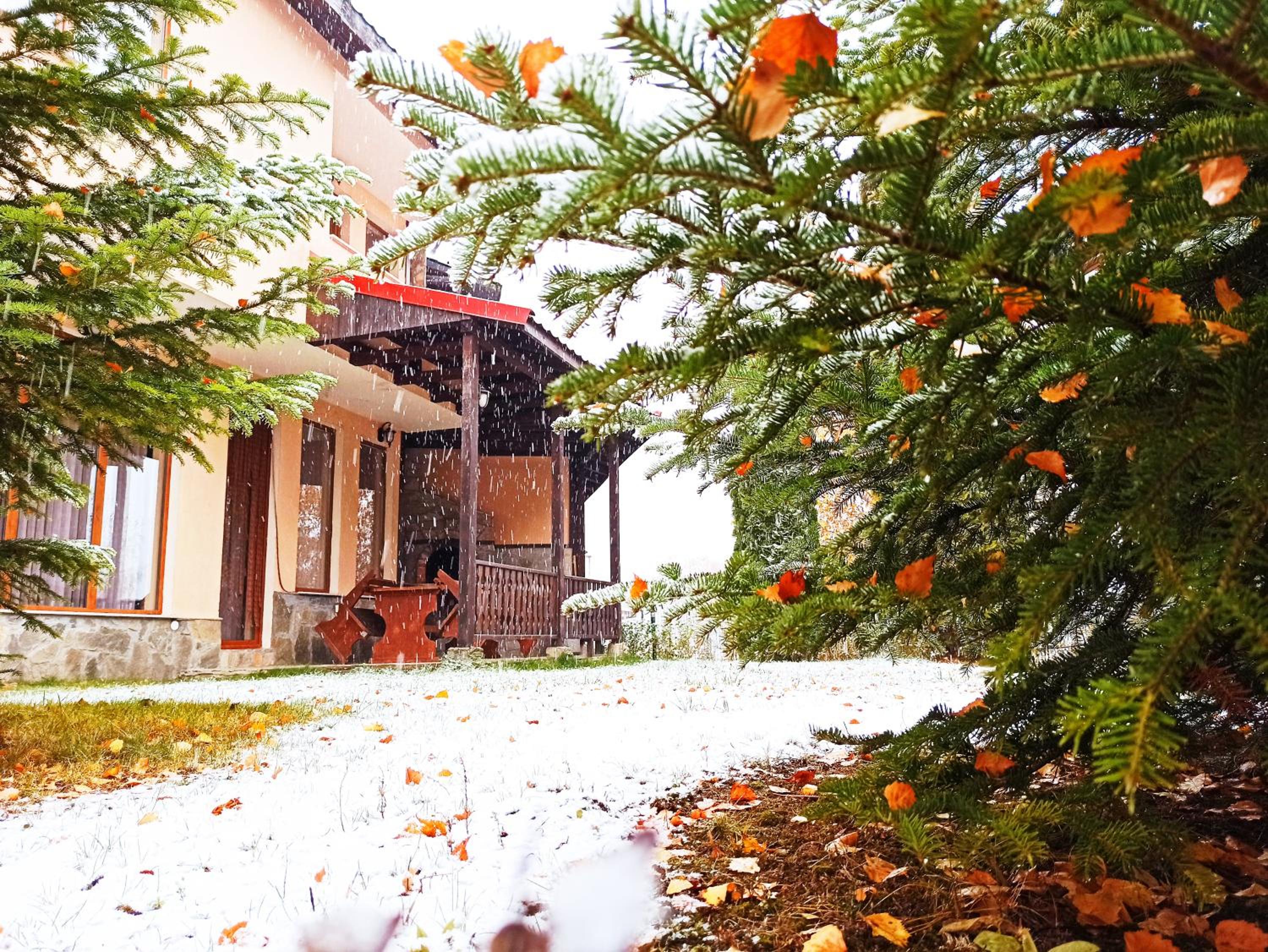 Rodopi Houses