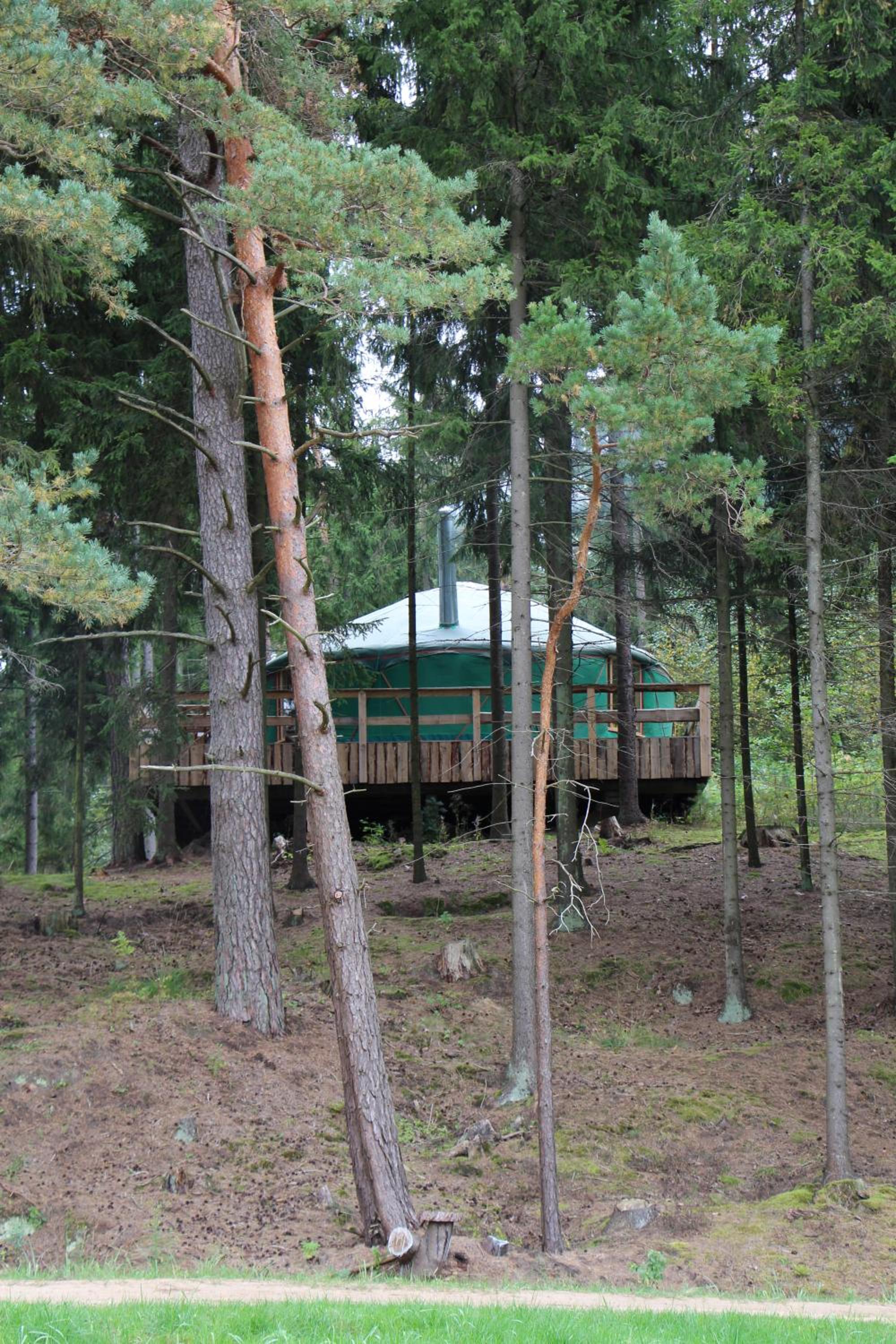 Photo 6