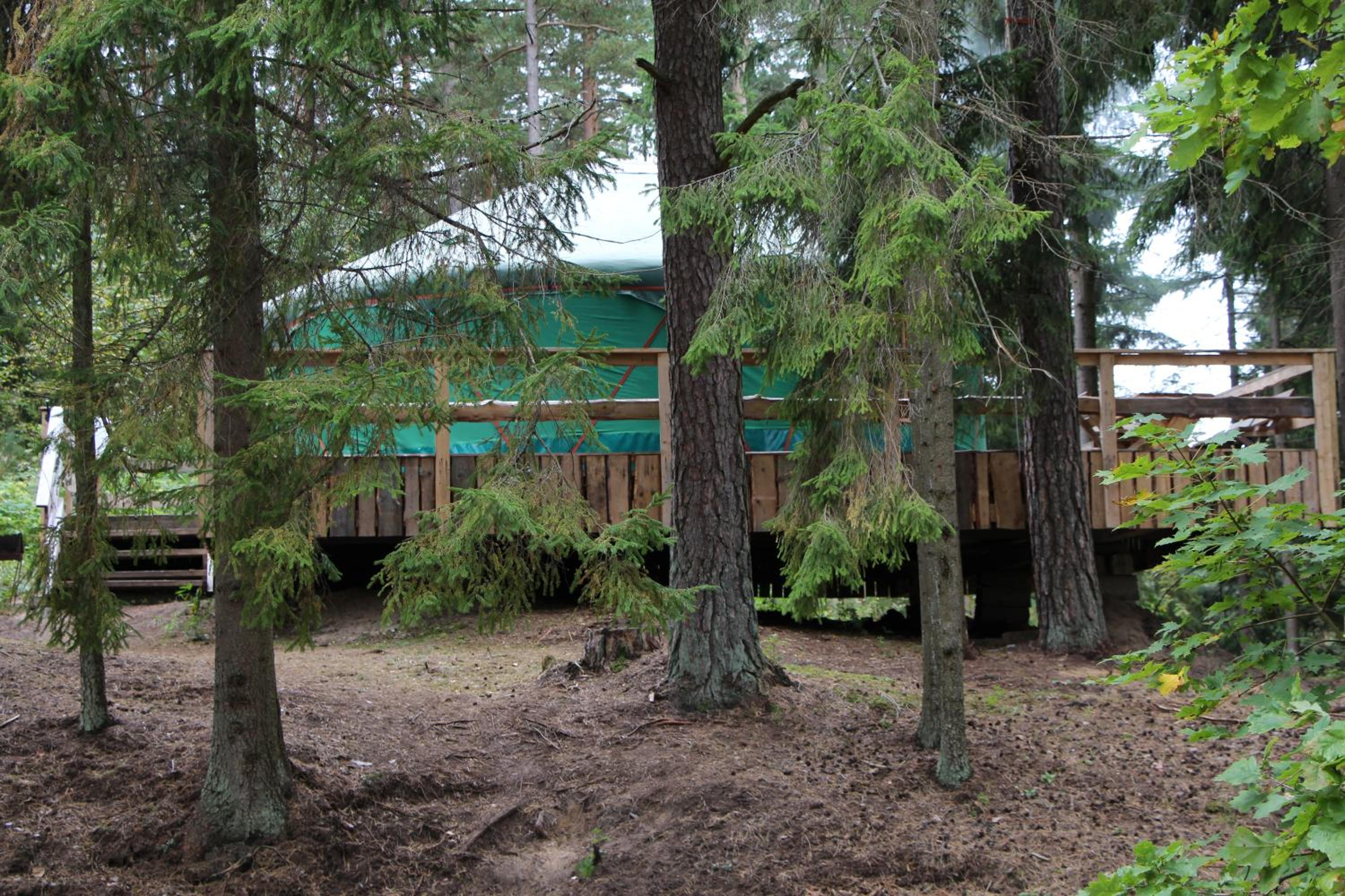 Photo 7