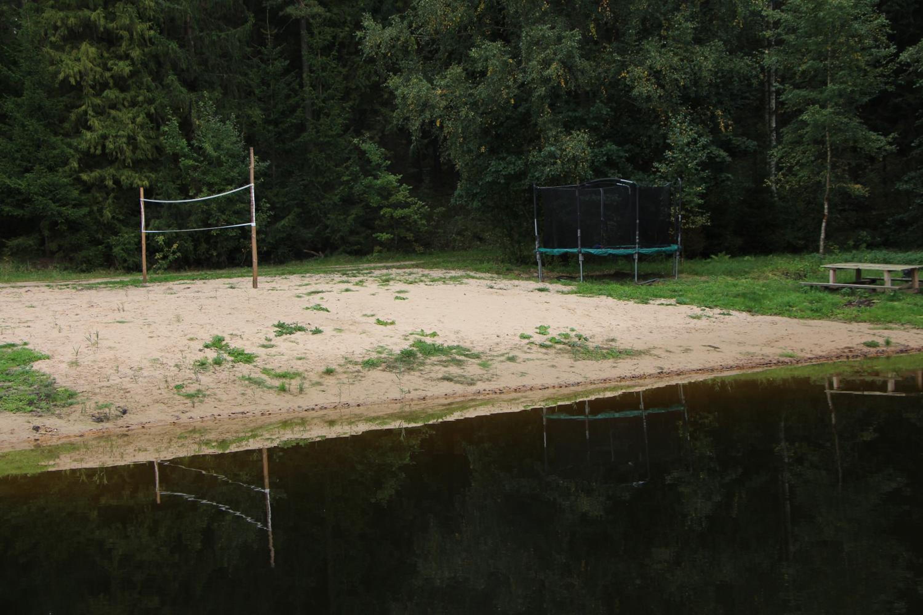 Photo 11