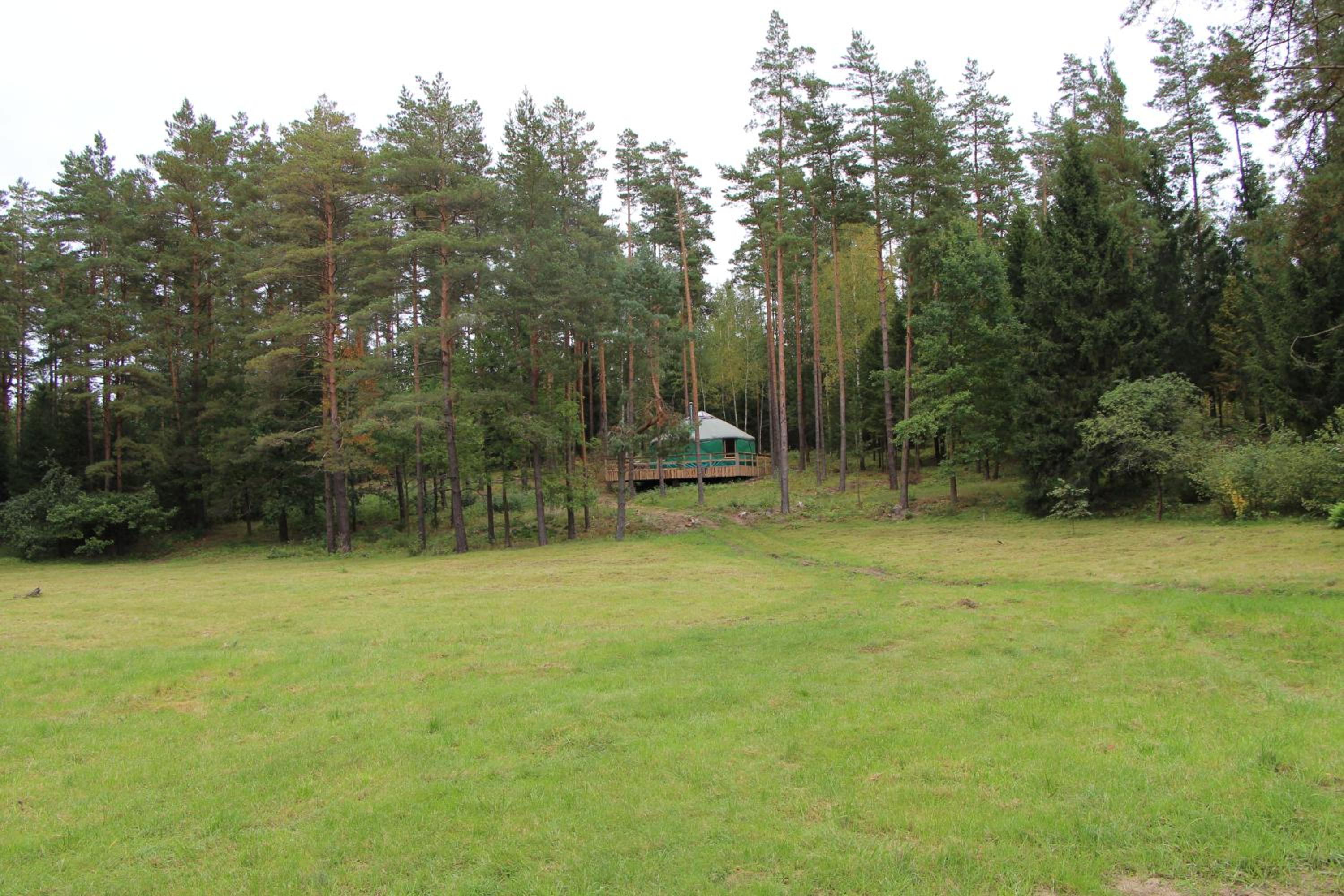 Photo 34
