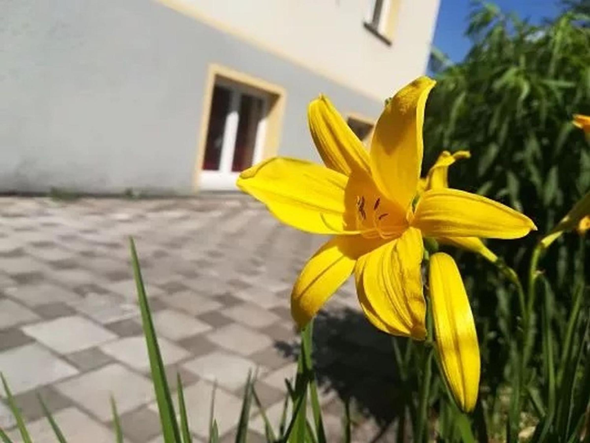 Haus am Apfelbaum