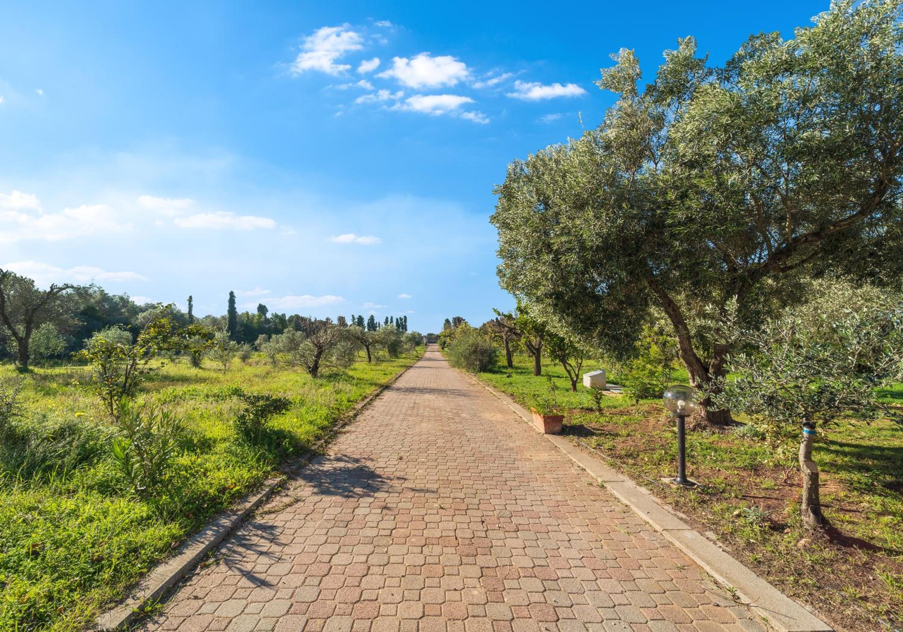 Capriccio Mediterraneo, photo 7