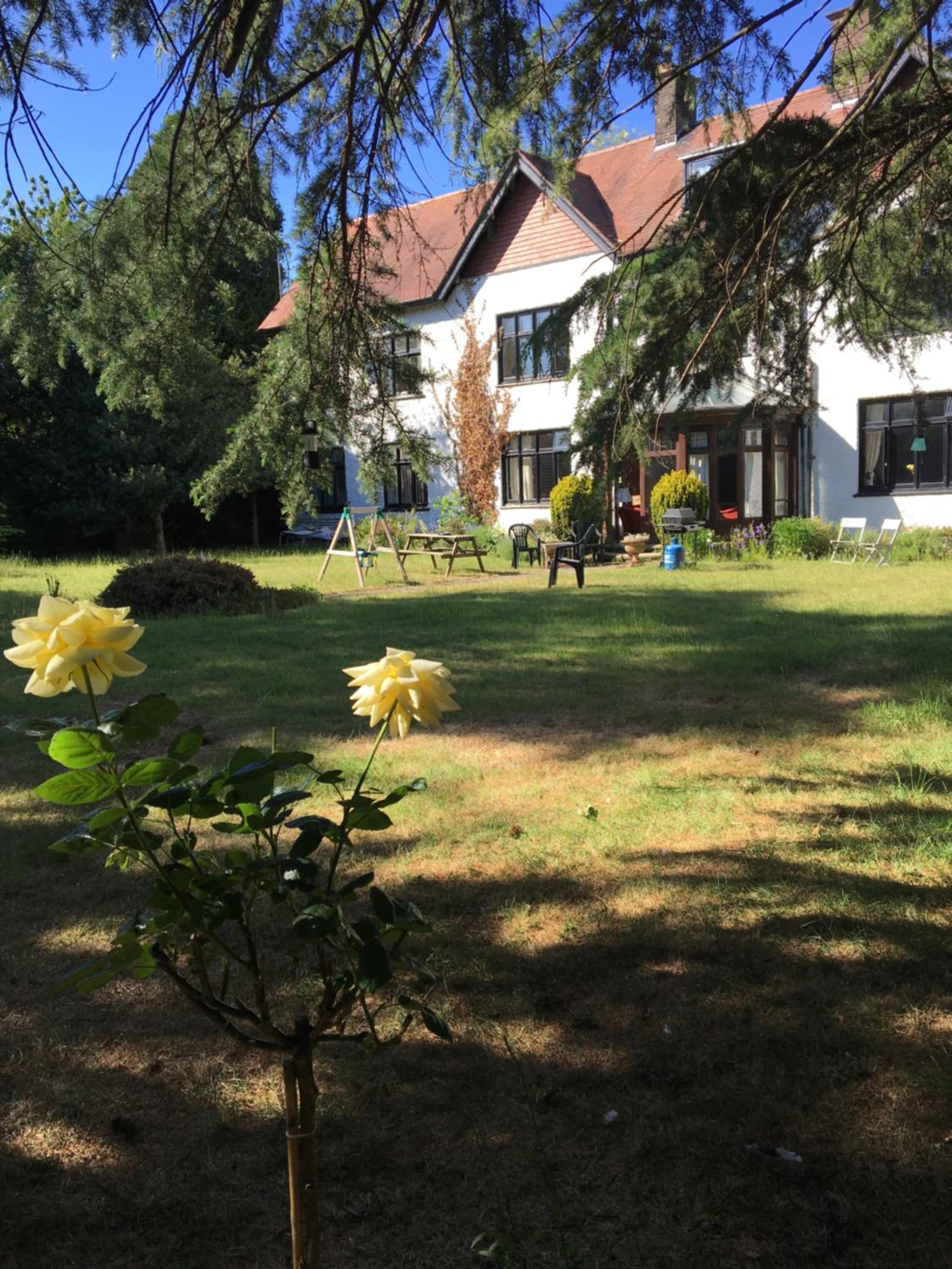 Photo 51