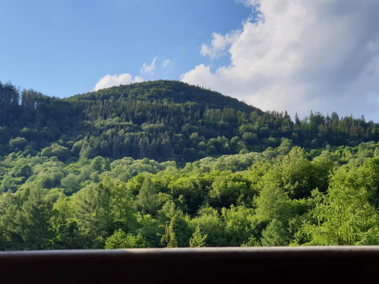 Apartmán Viktória view 3