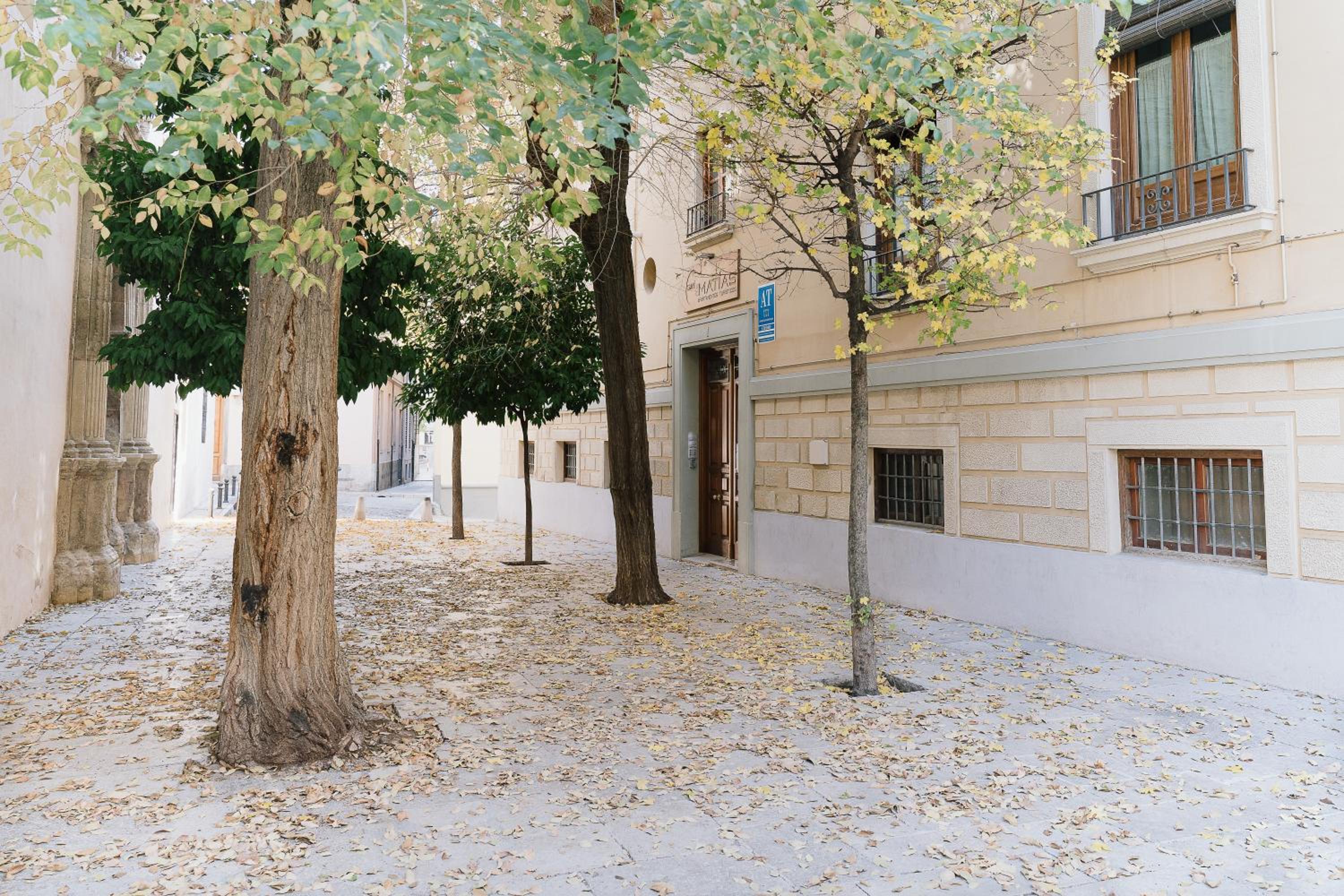 Apartamentos Turísticos San Matías