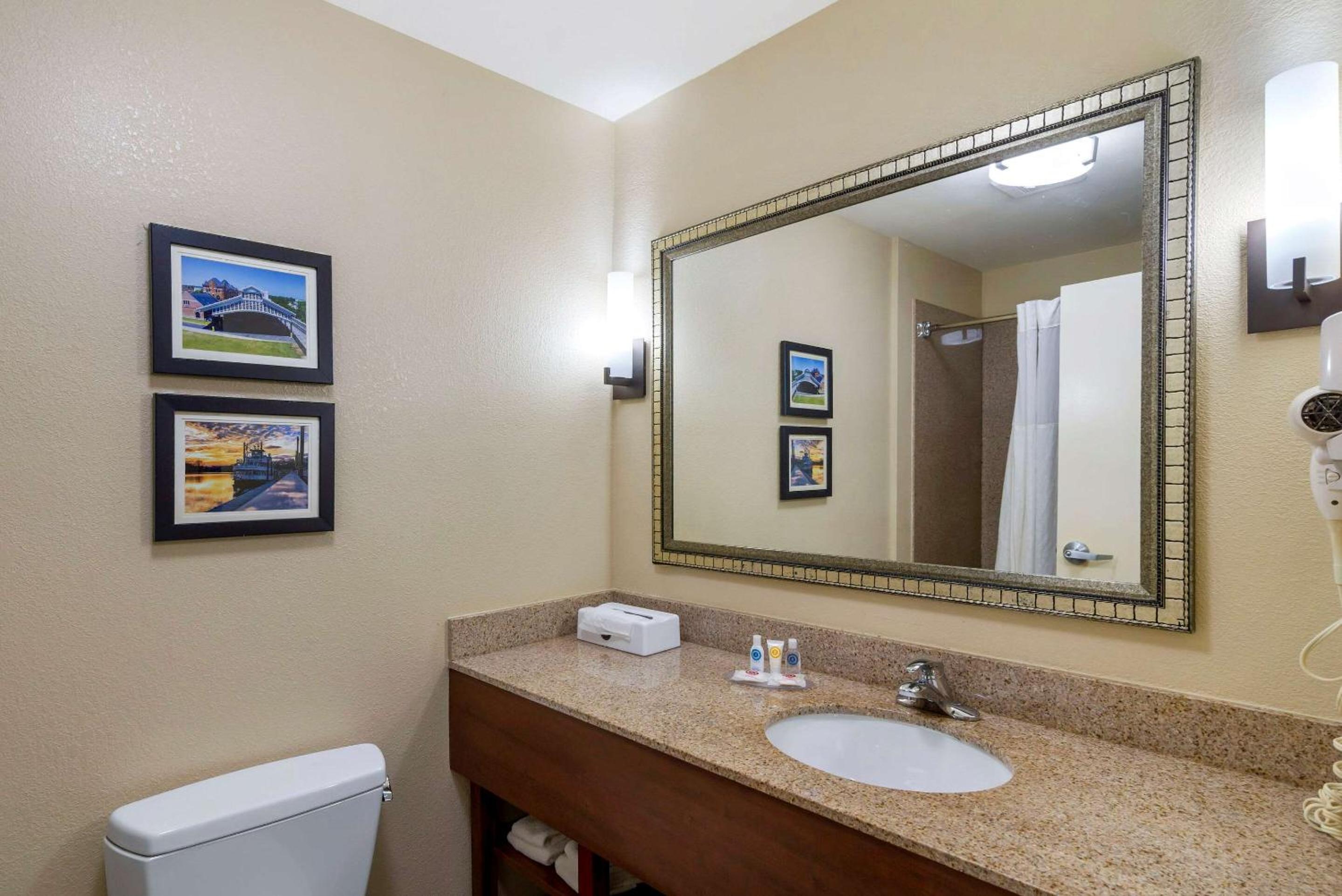 Montgomery Vacations - Comfort Inn Suites Montgomery Eastchase - Property Image 13