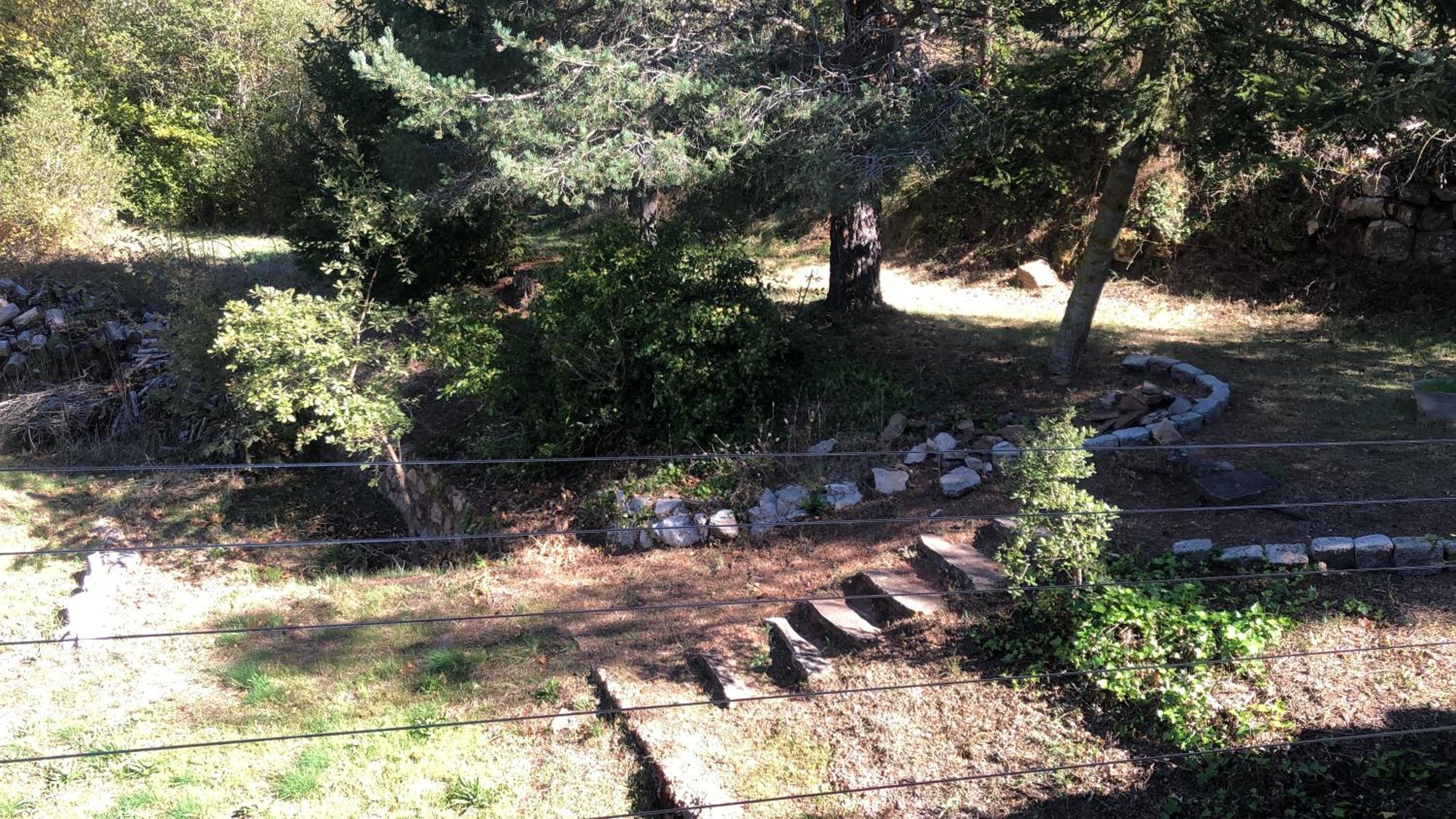 Photo 36