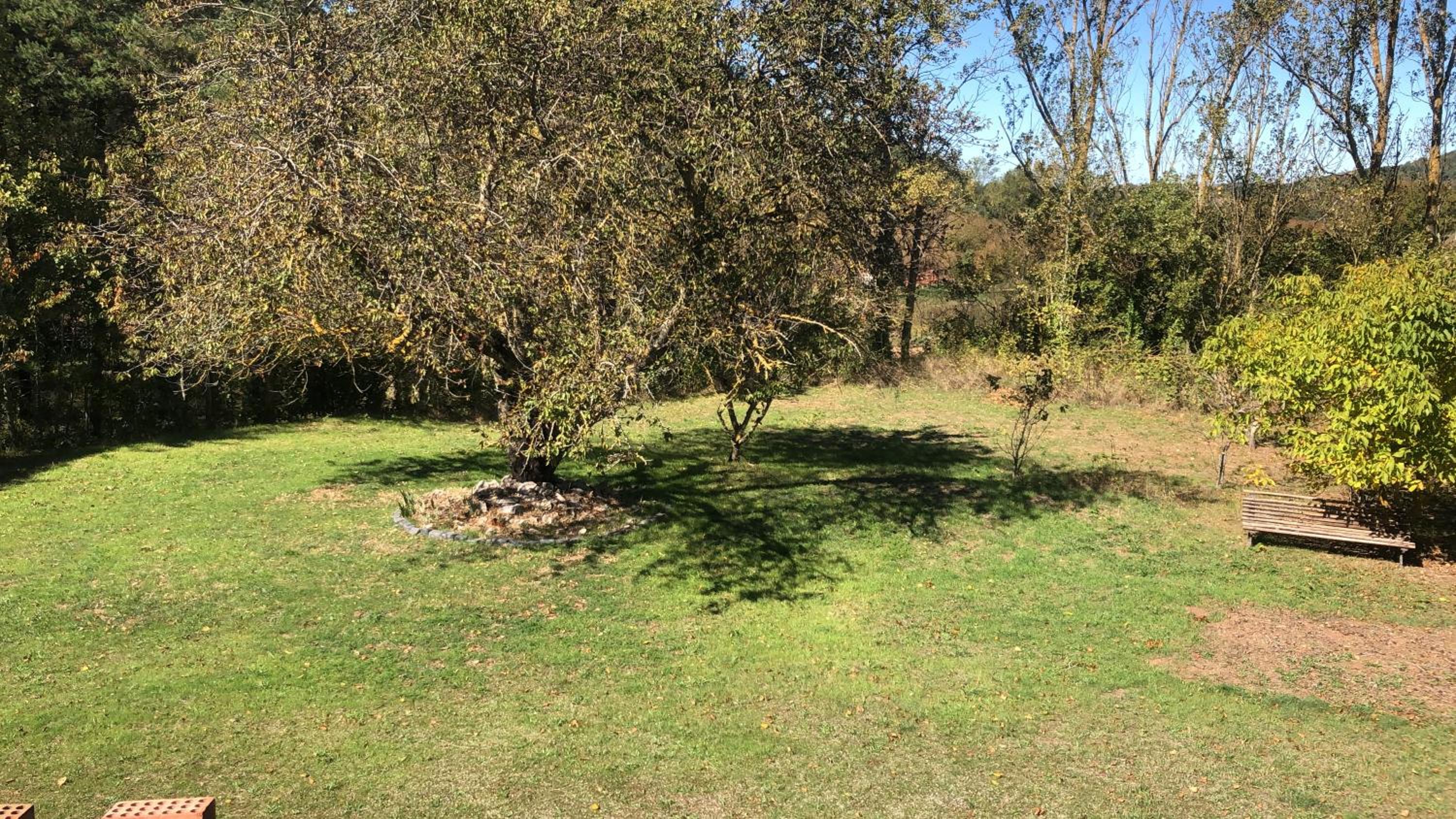 Photo 37
