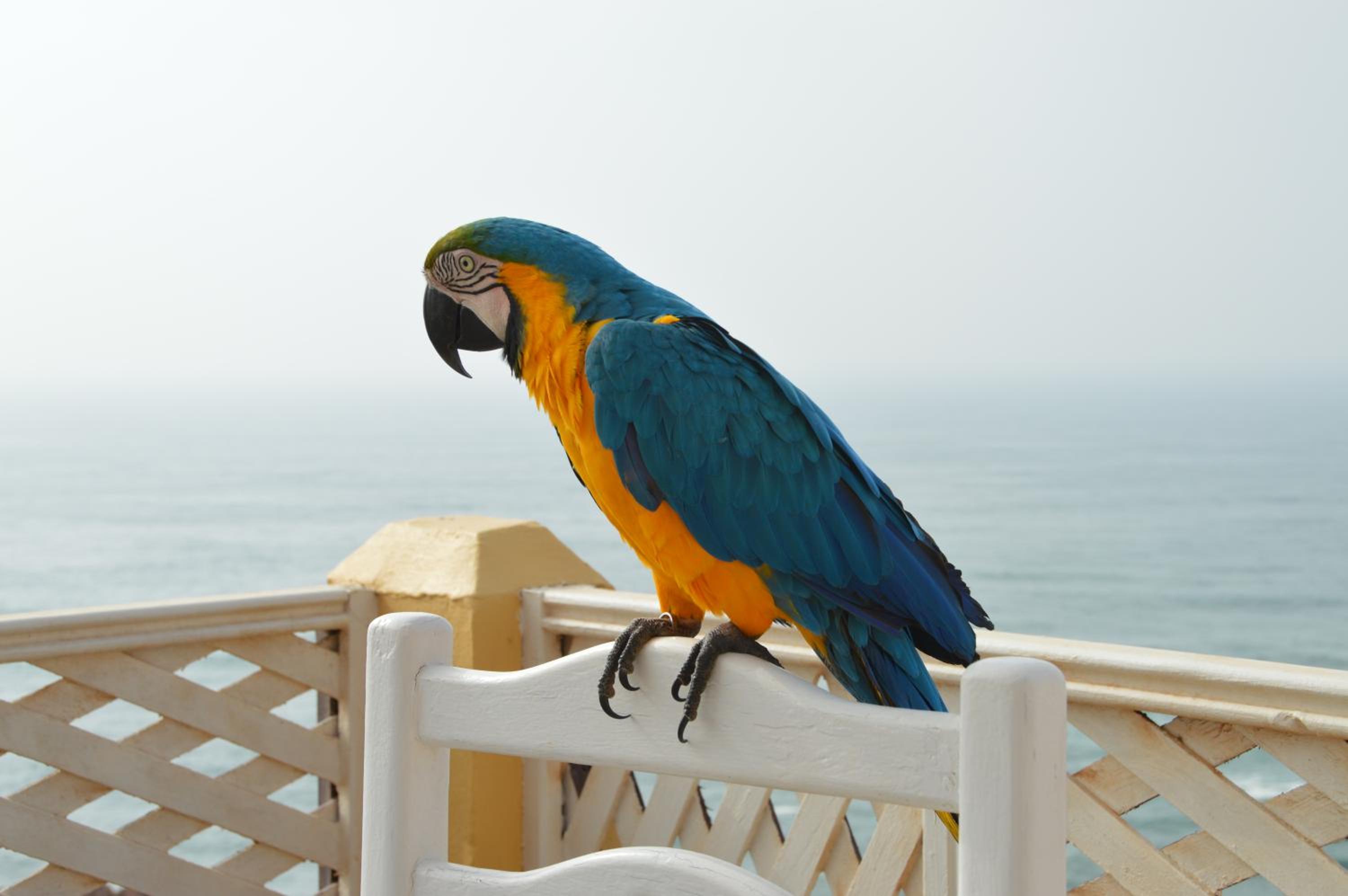 other