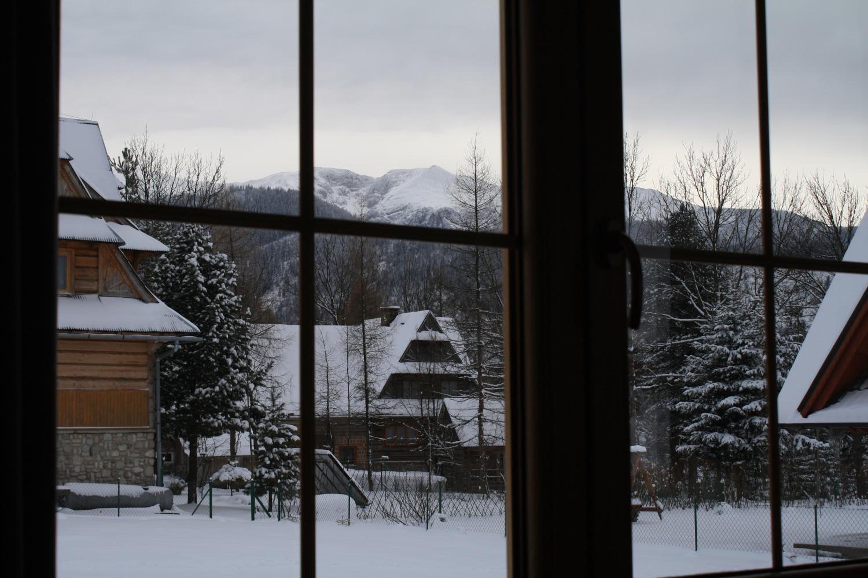 Photo 40