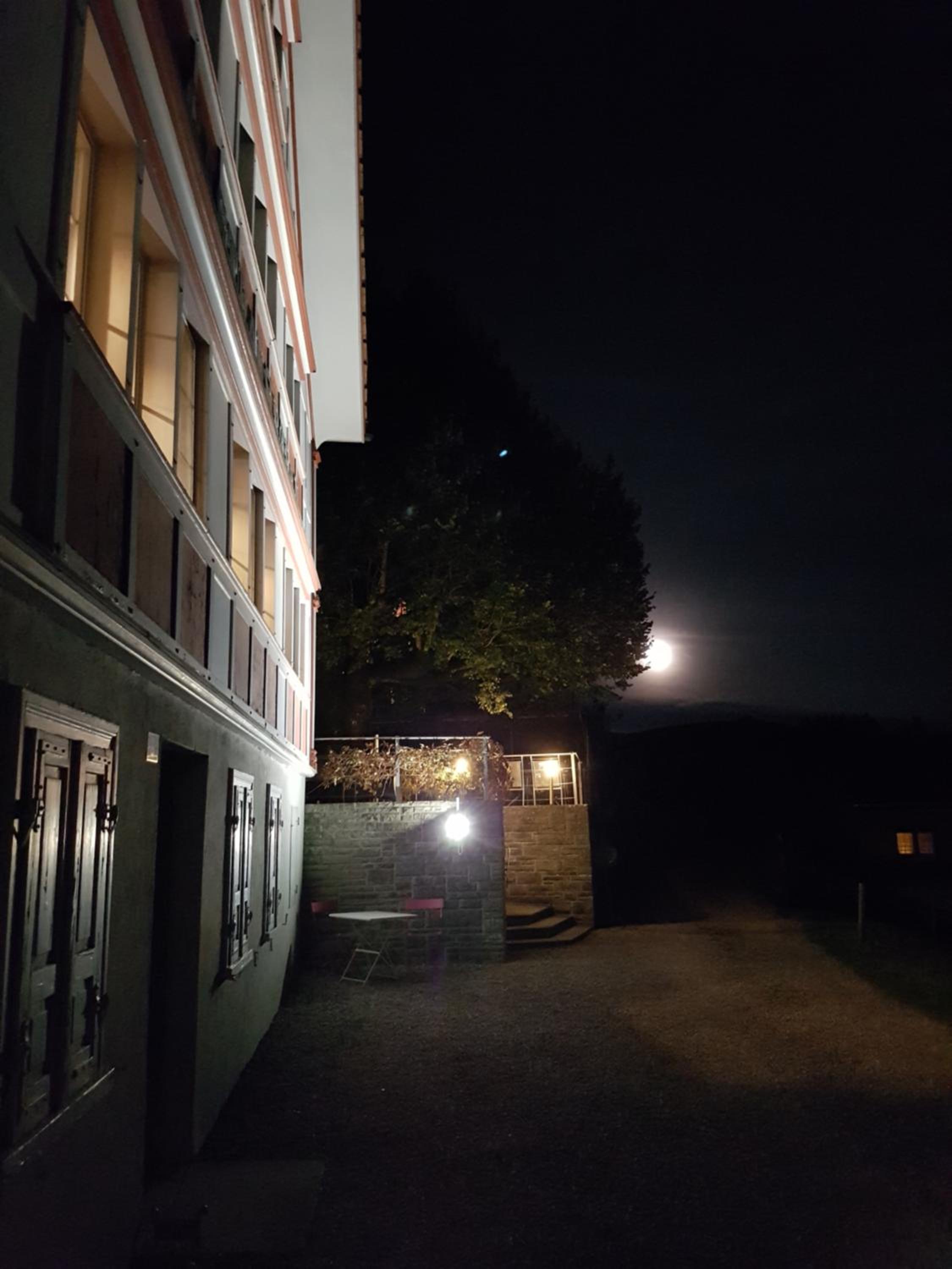 Photo 41