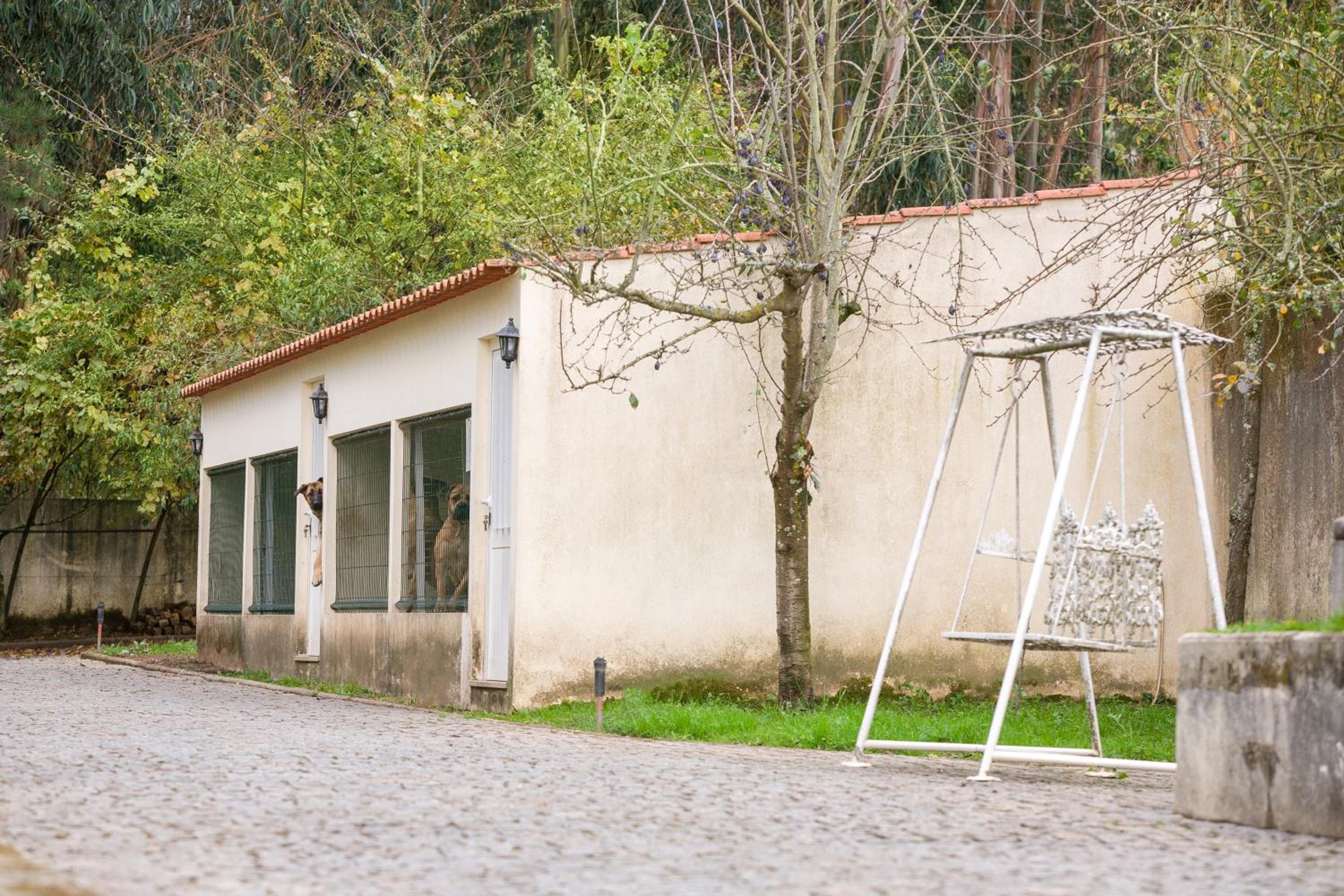 Majestic Manor in Valença with private pool