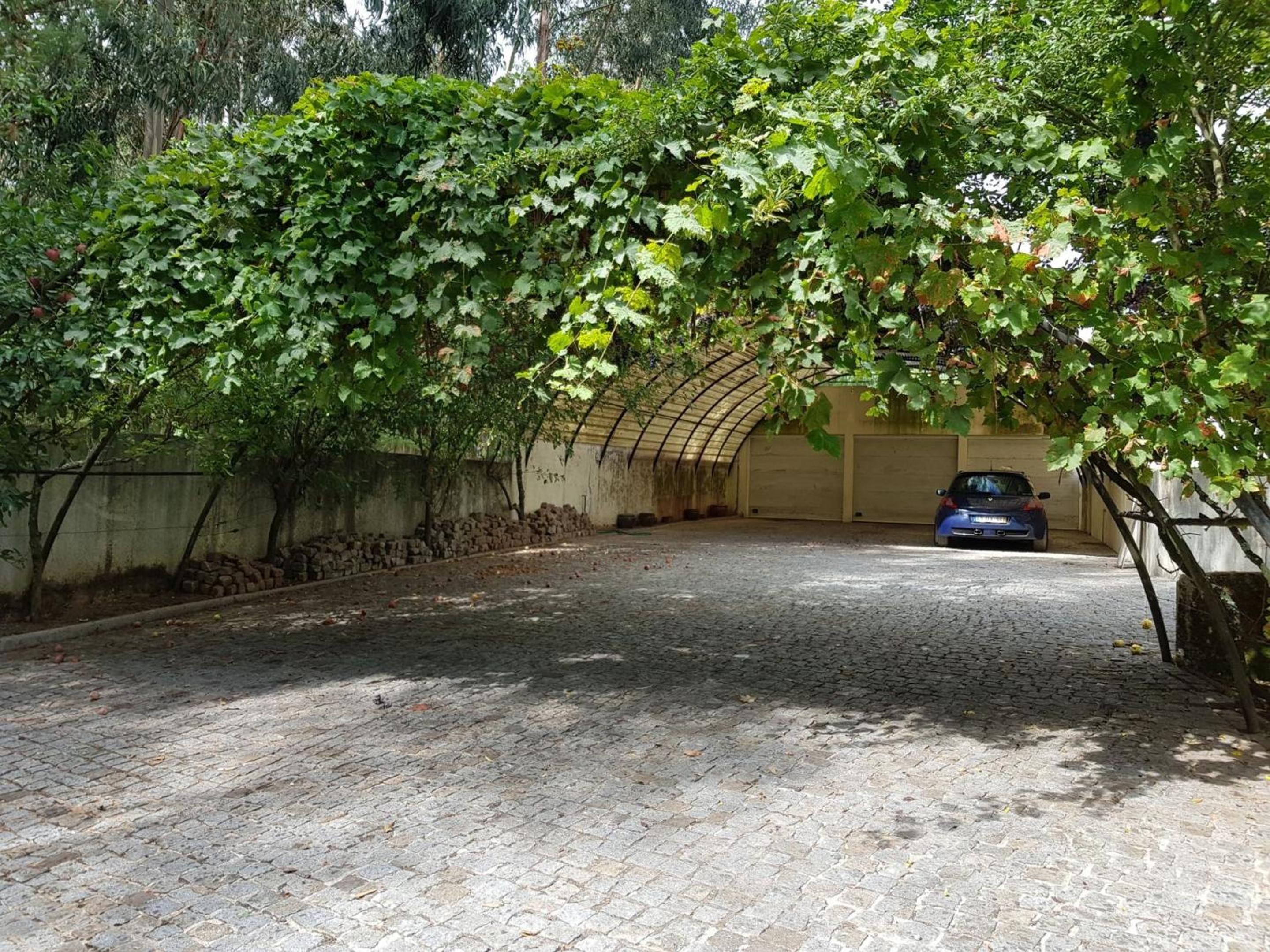 Majestic Manor in Valença with private pool