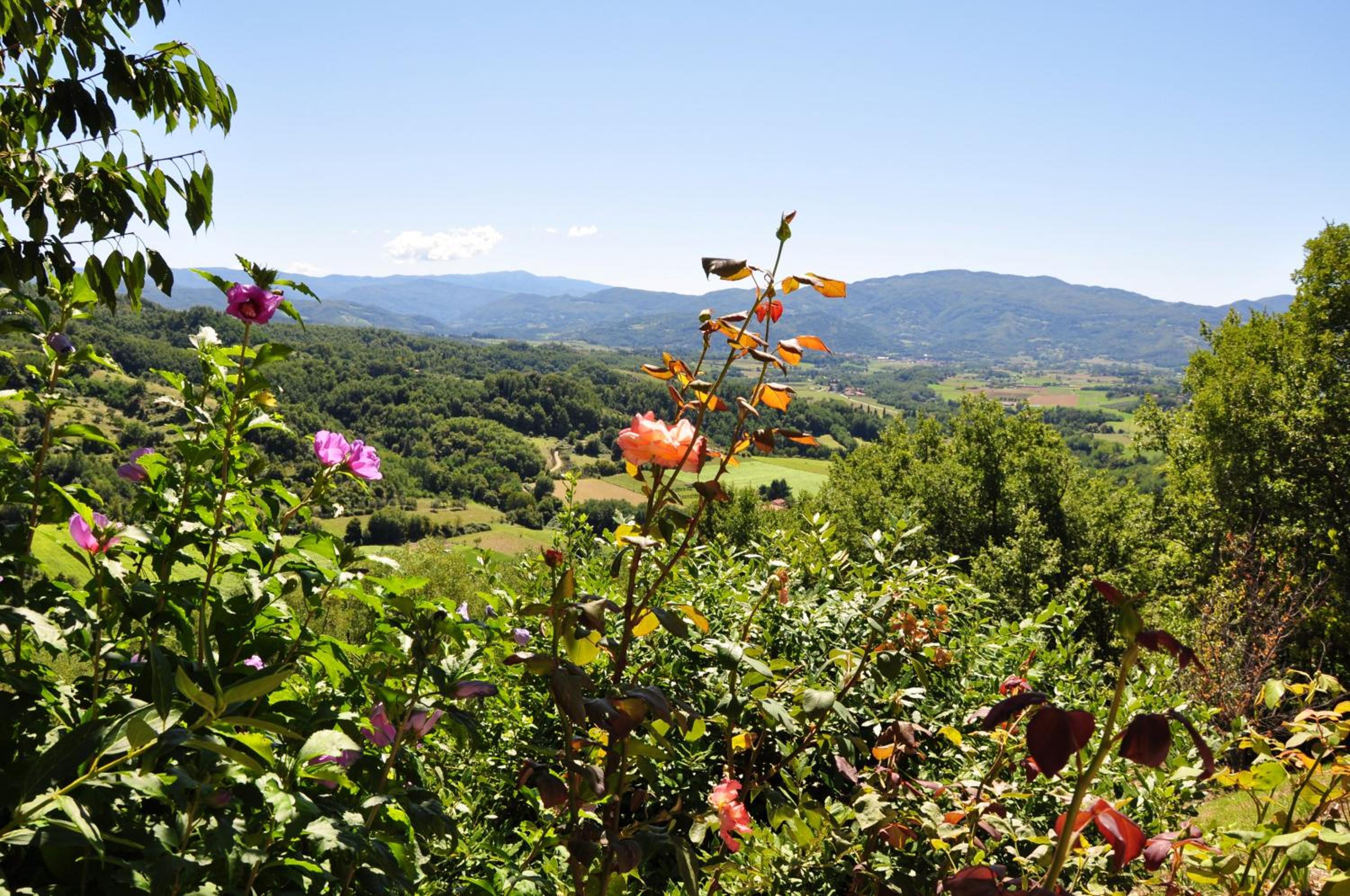 Cosy House in Gattaia with Shared Pool