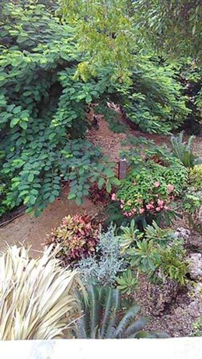 Photo 7