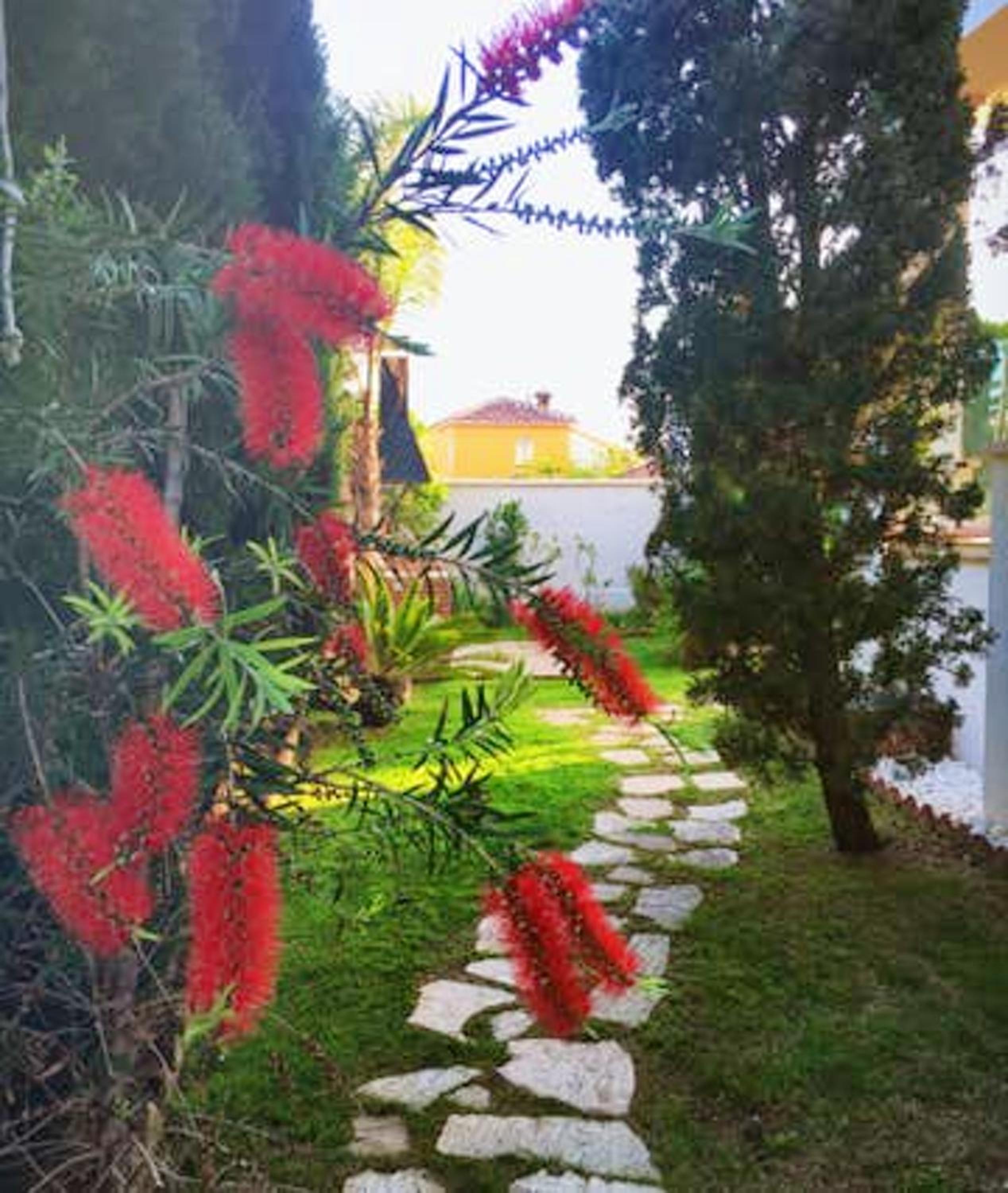 Photo 36