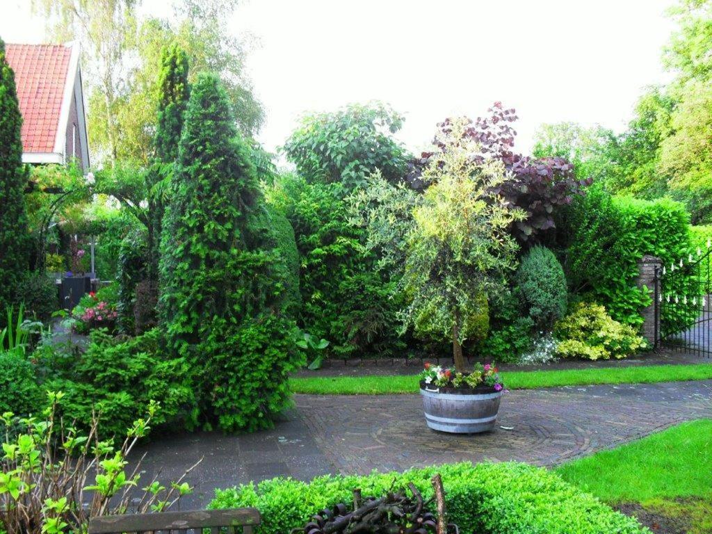 Photo 18