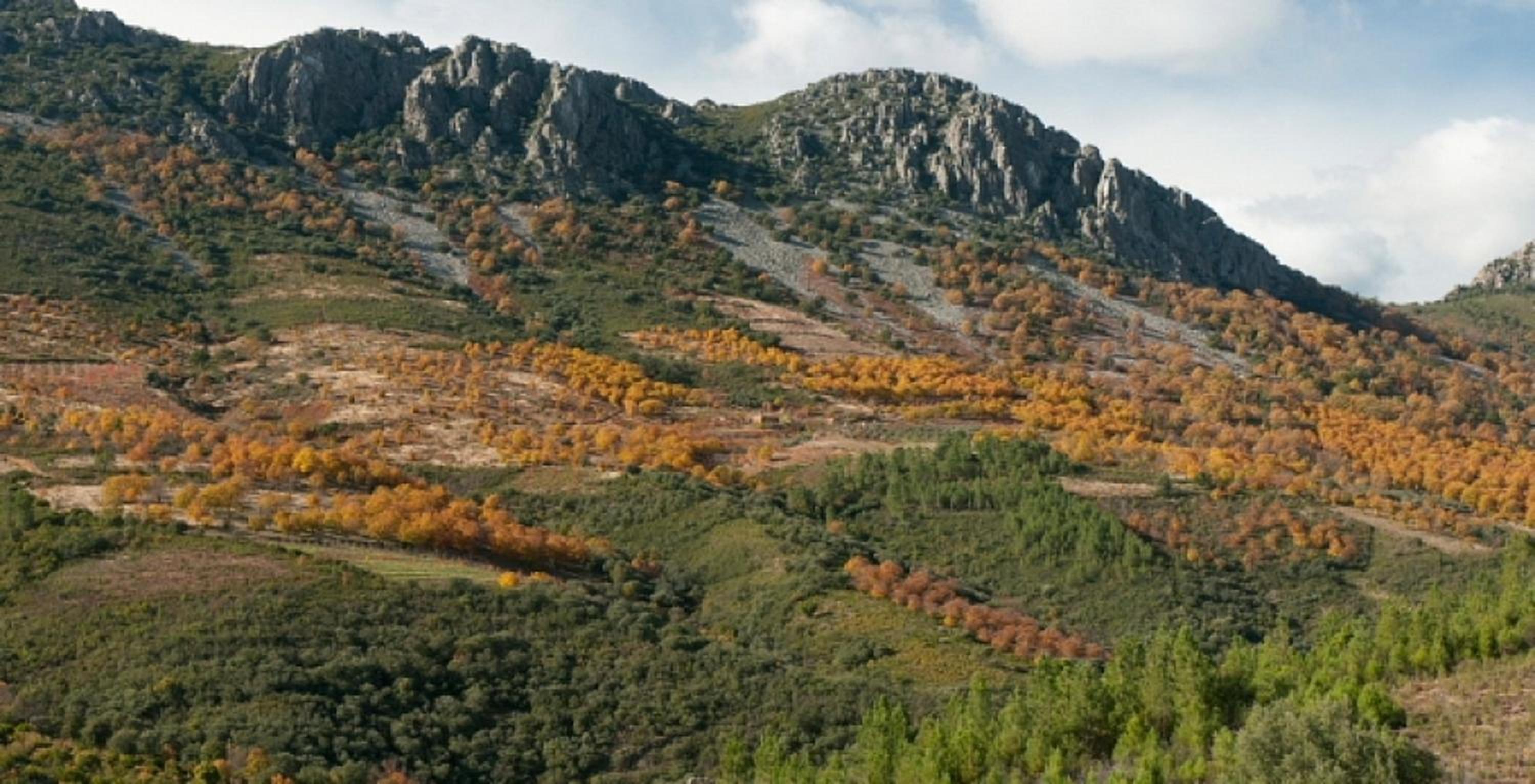 Welcoming house with mountain view in Cañamero photo 4