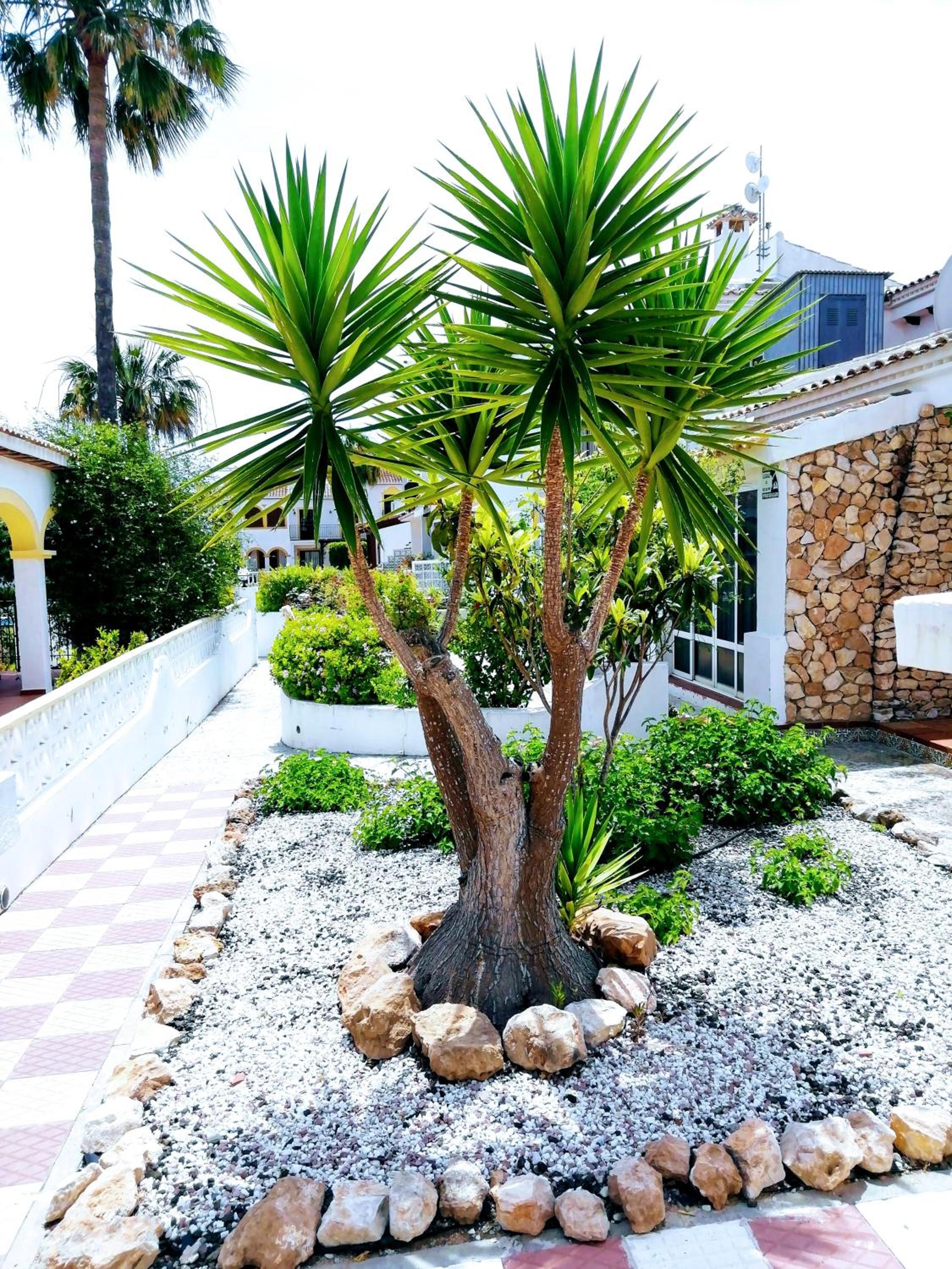 Welcoming House in Torrevieja with Shared Pool