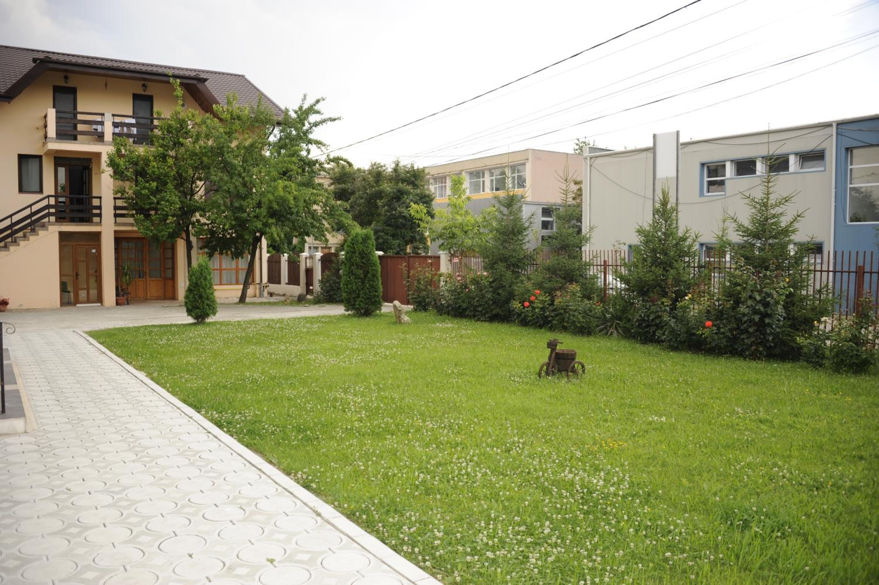 Photo 6