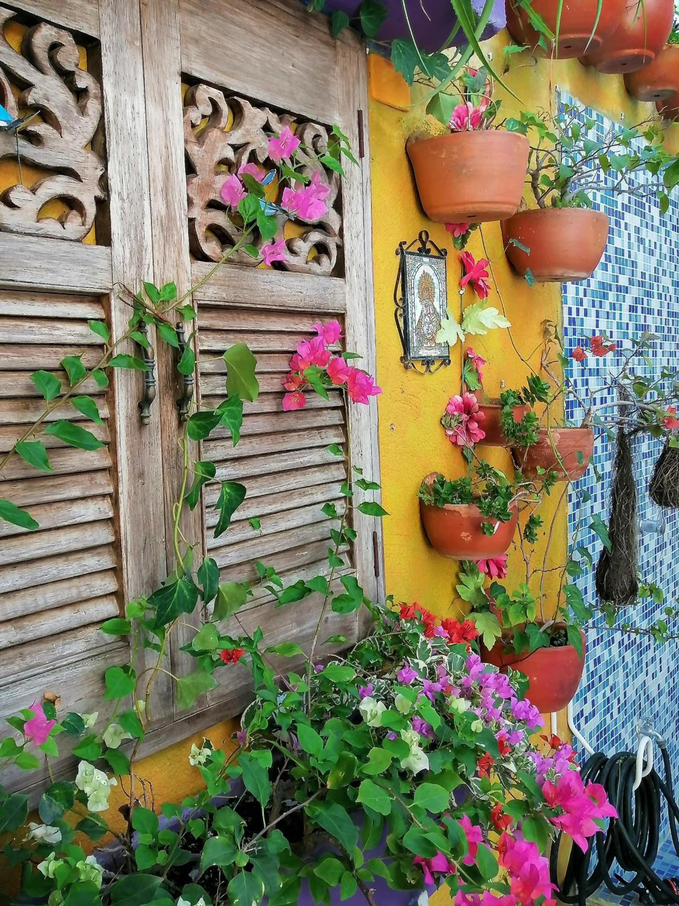 Photo 26