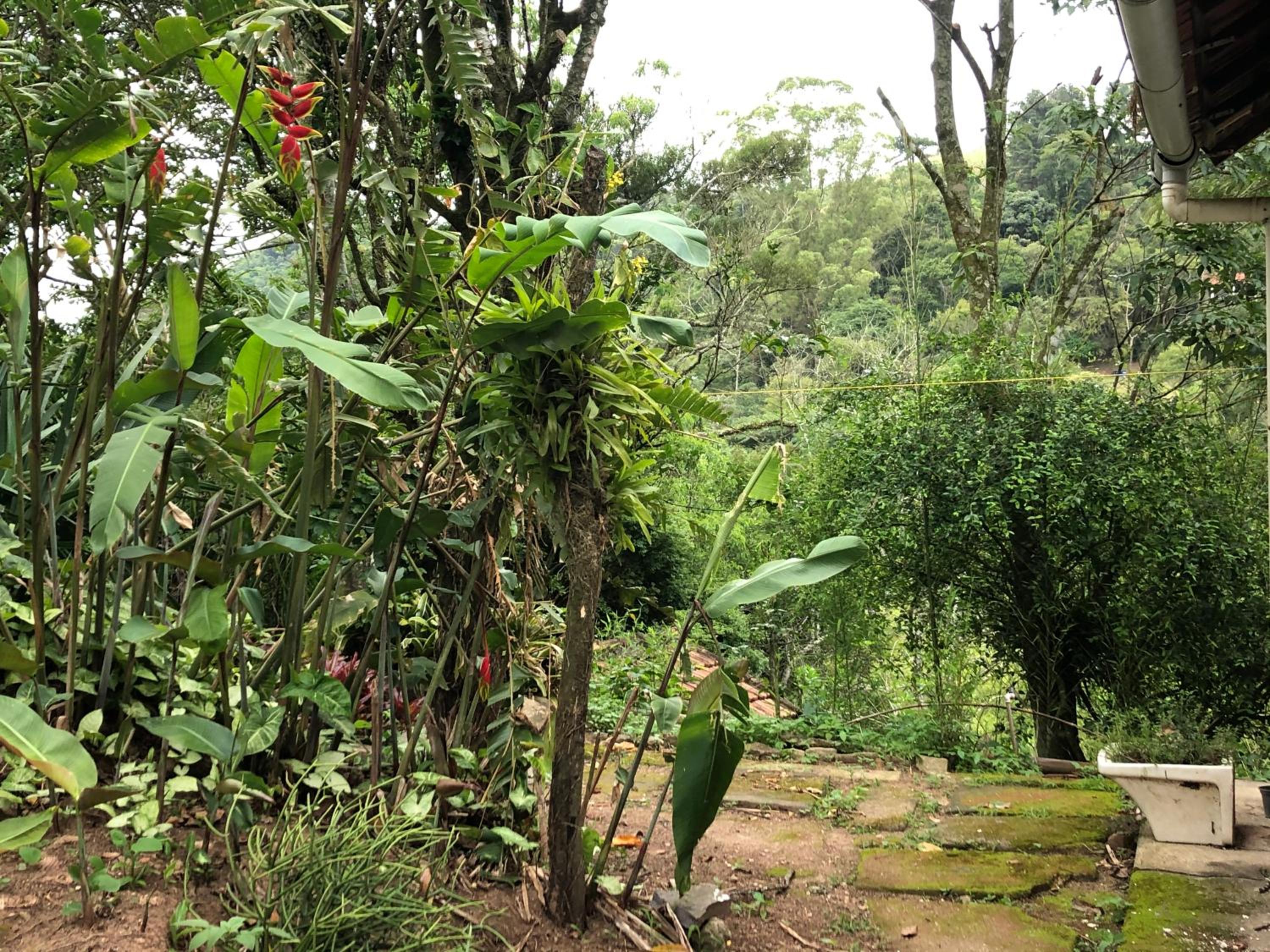 Espaço Ello suíte externa cantinho na serra Miguel Pereira