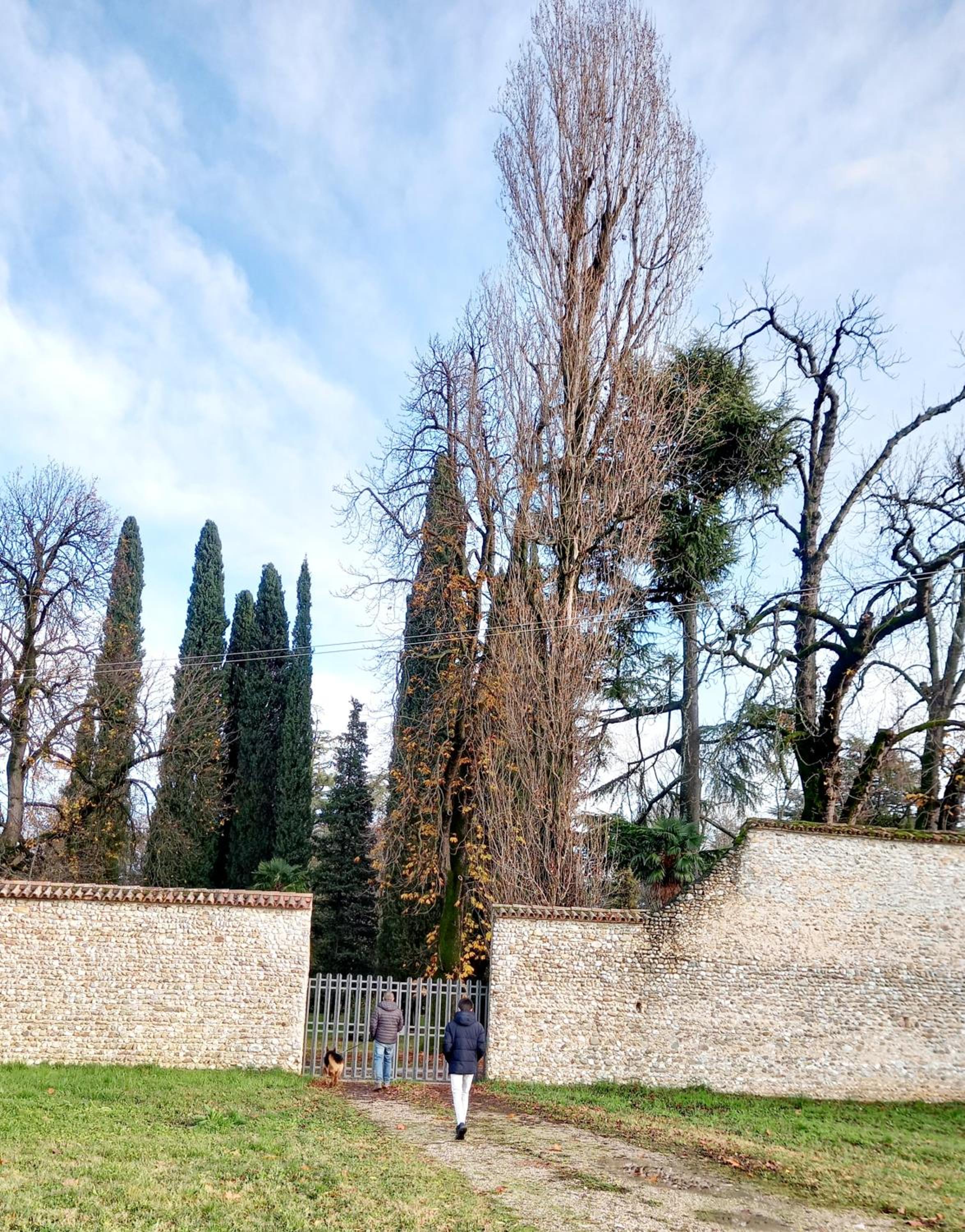 Photo 46