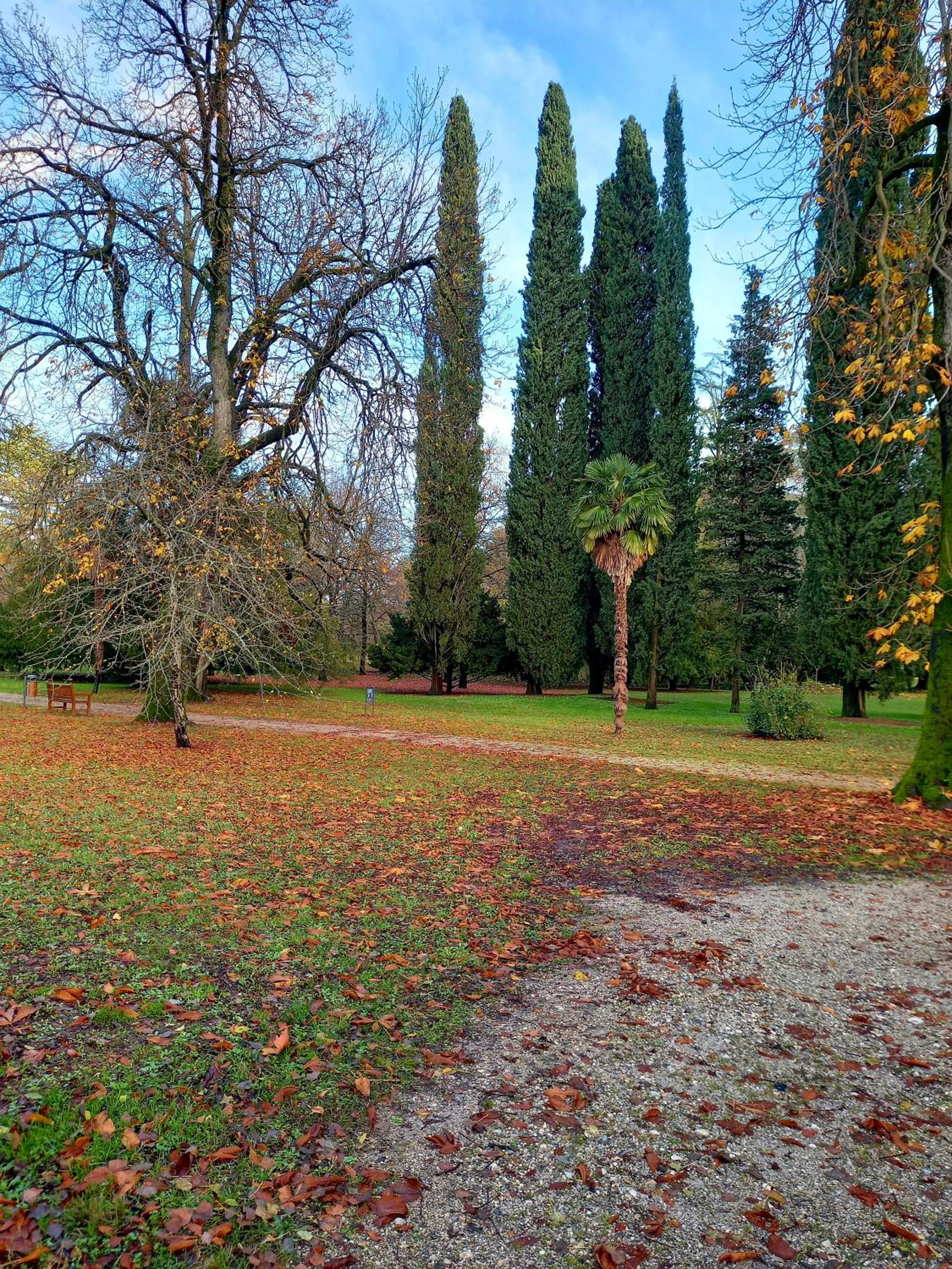 Photo 45