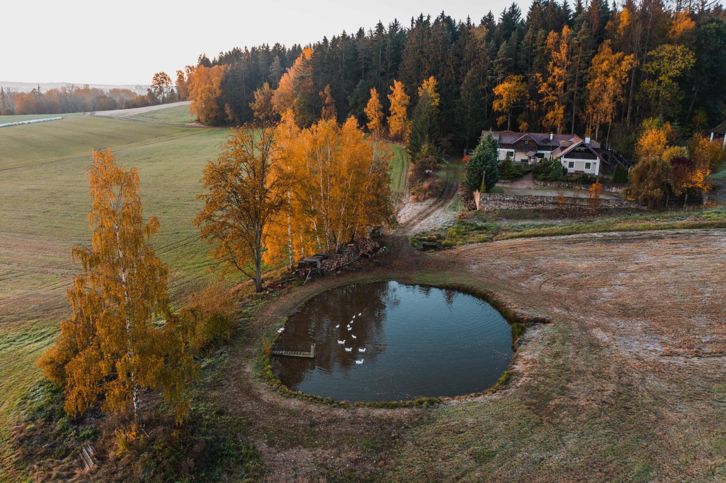 Chalupa U Ptáčků view 5