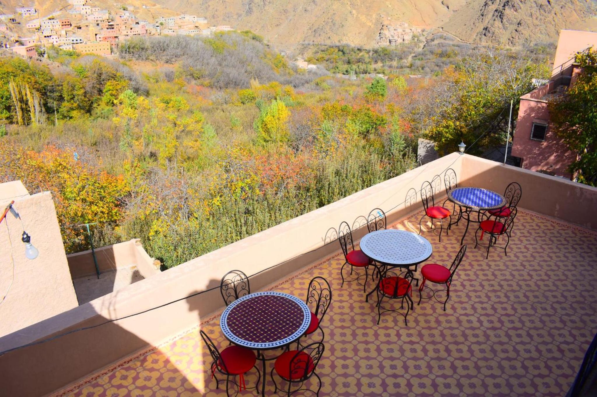 balance & terrace