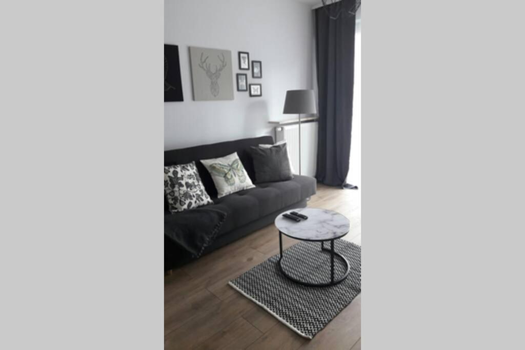 Lux Apartment close to Medicover and Paley view 2